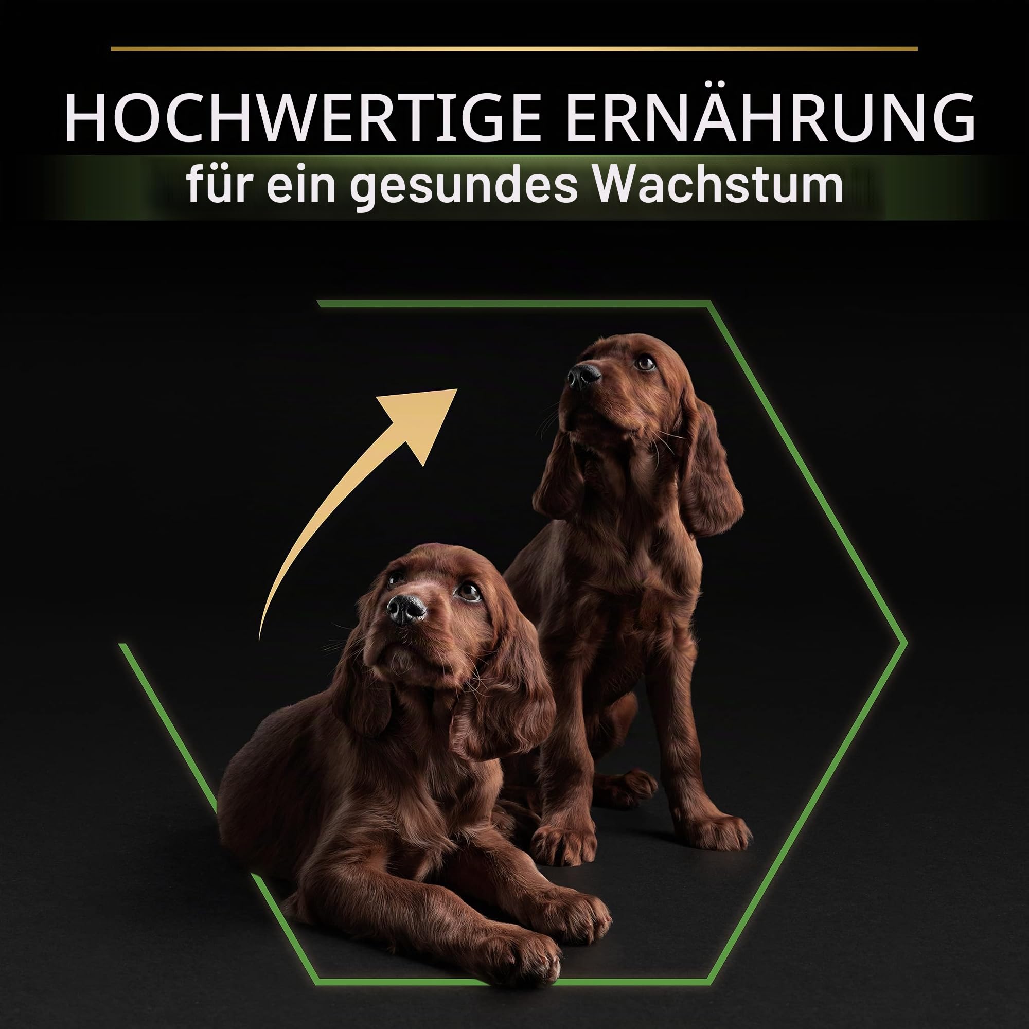 Pro Plan Large Athletic Puppy Trockenfutter Huhn 12 kg