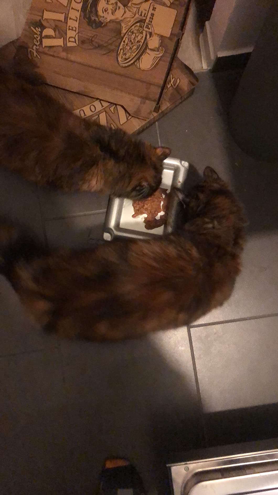 FELIX So gut wie es aussieht Nassfutter Gelee 120er