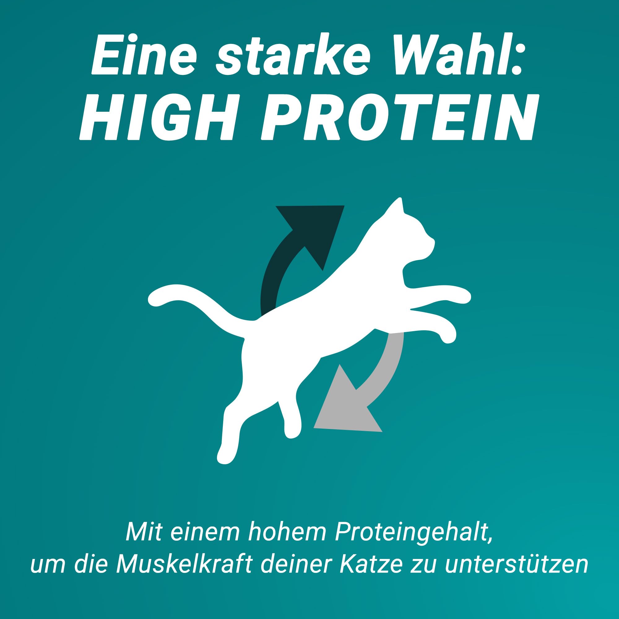 PURINA ONE High Protein Lachs Trockenfutter 6x900 g