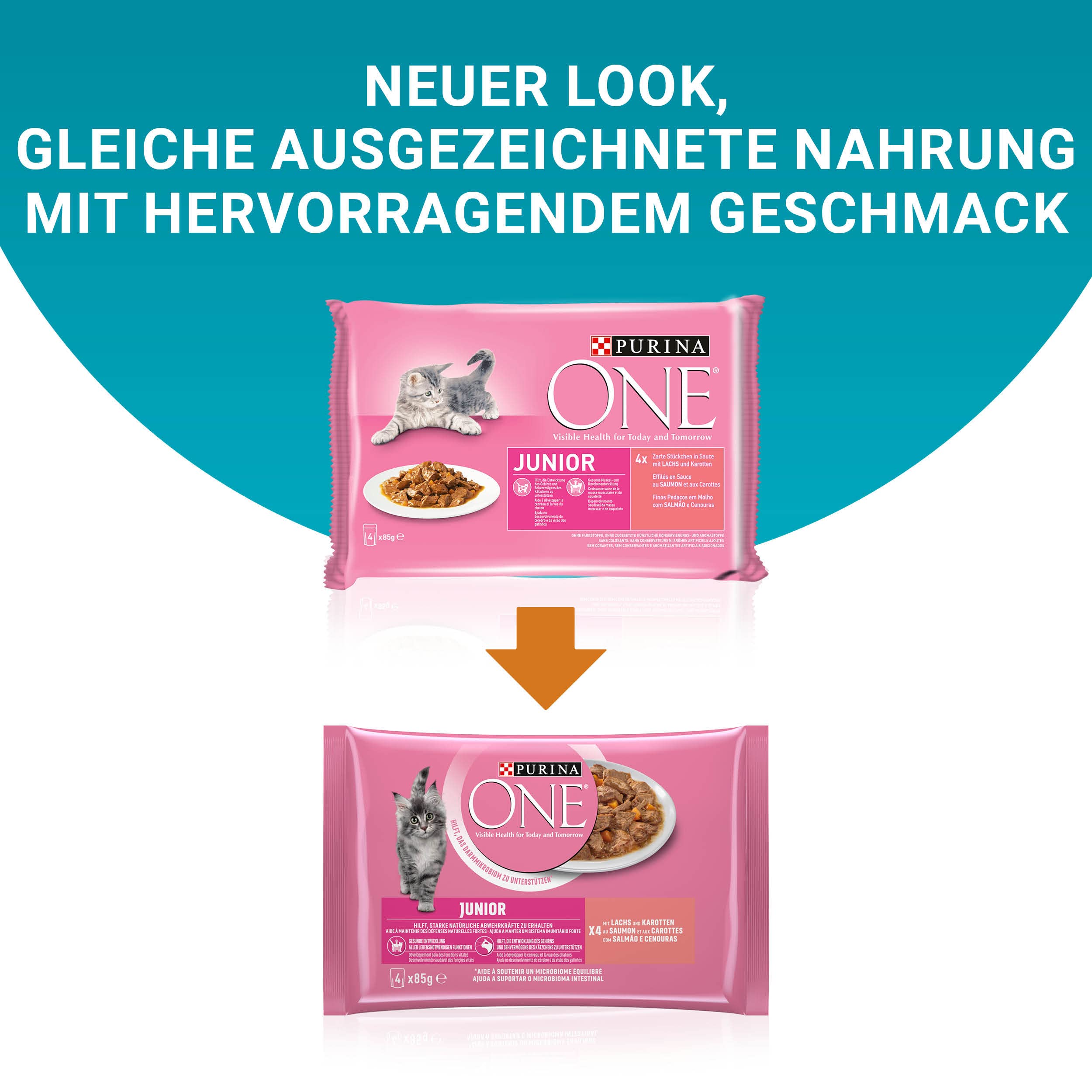 PURINA ONE BIFENSIS Junior Lachs Nassfutter 48er Pack Sauce