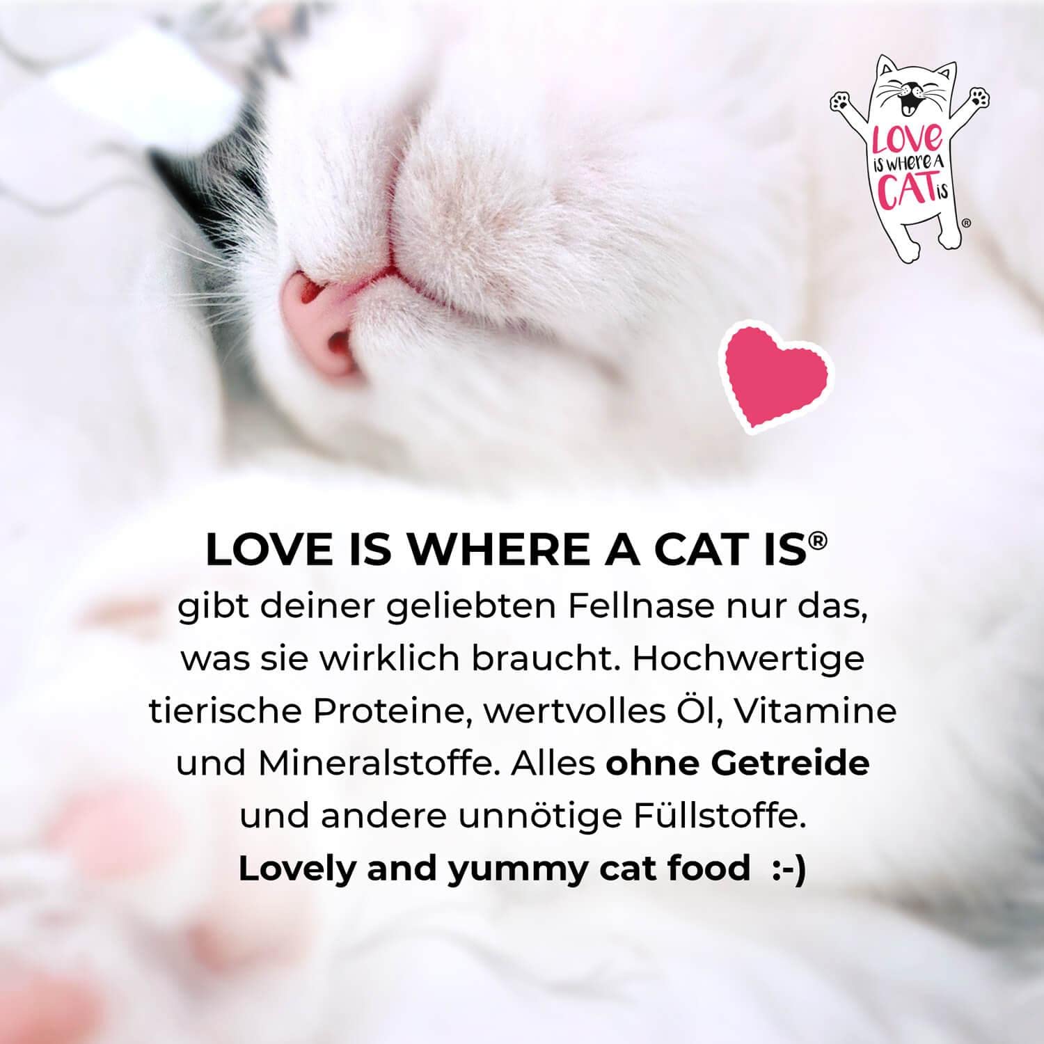 Love is where a cat is Dosen Huhn Kaninchen Nassfutter 6x200g