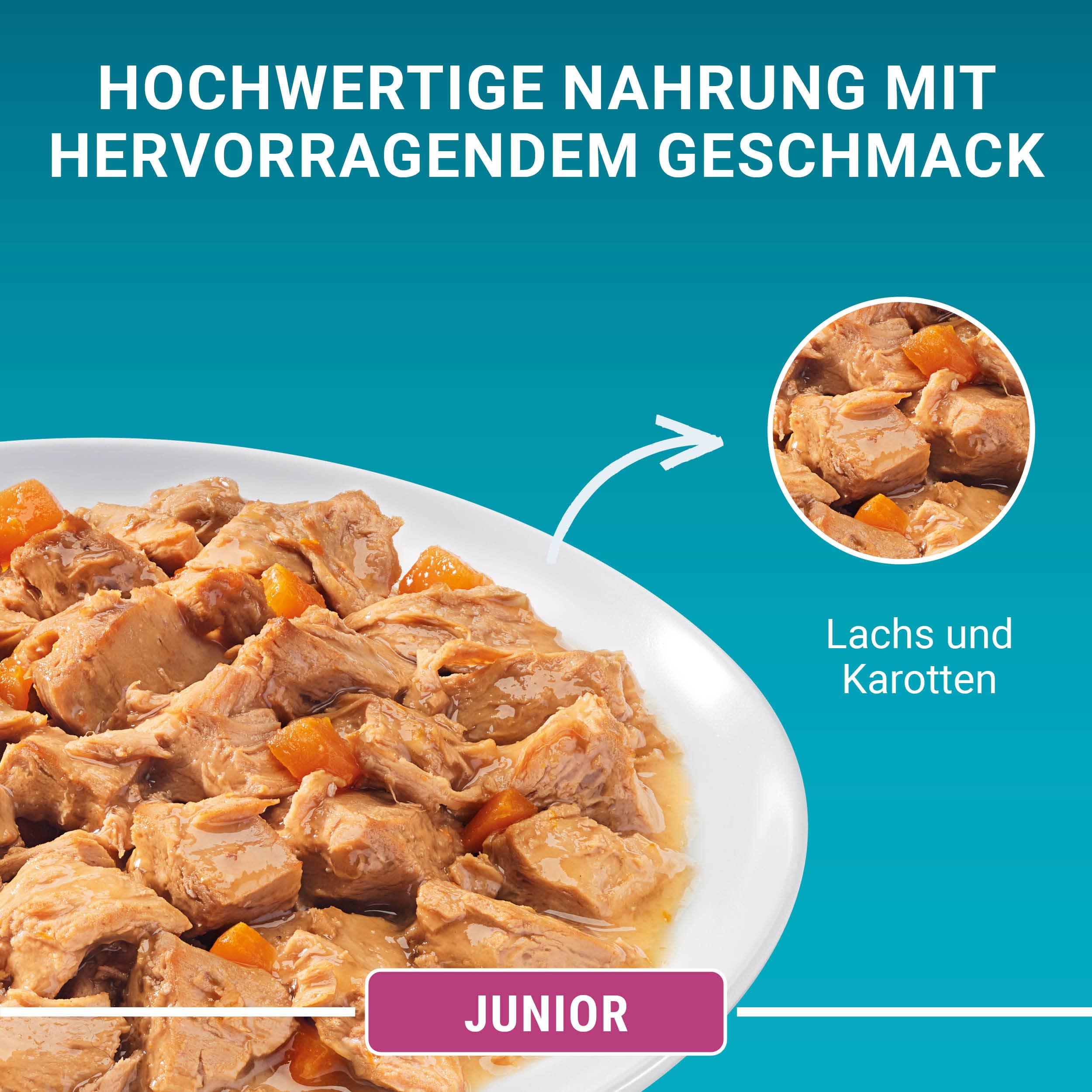 PURINA ONE BIFENSIS Junior Lachs Nassfutter 48er Pack Sauce