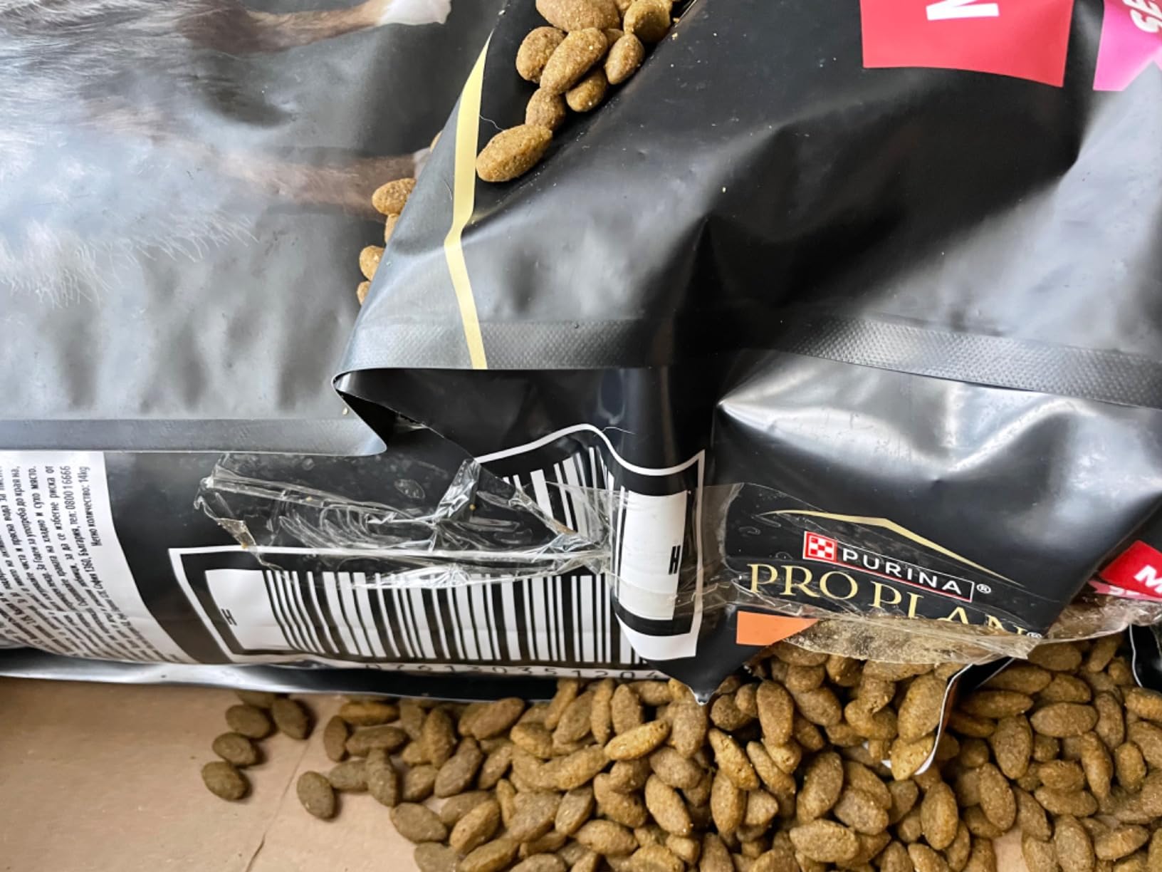 Purina Pro Plan Medium Adult Trockenfutter Lachs 10kg Haut