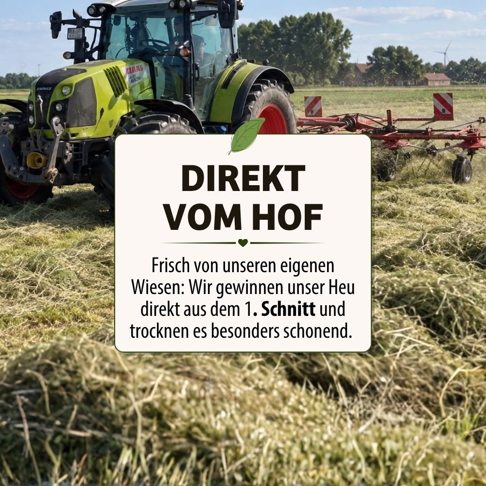 CAMISI Kleintierfutter Heu aus Ostfriesland Wiesenheu 4 kg staubarm