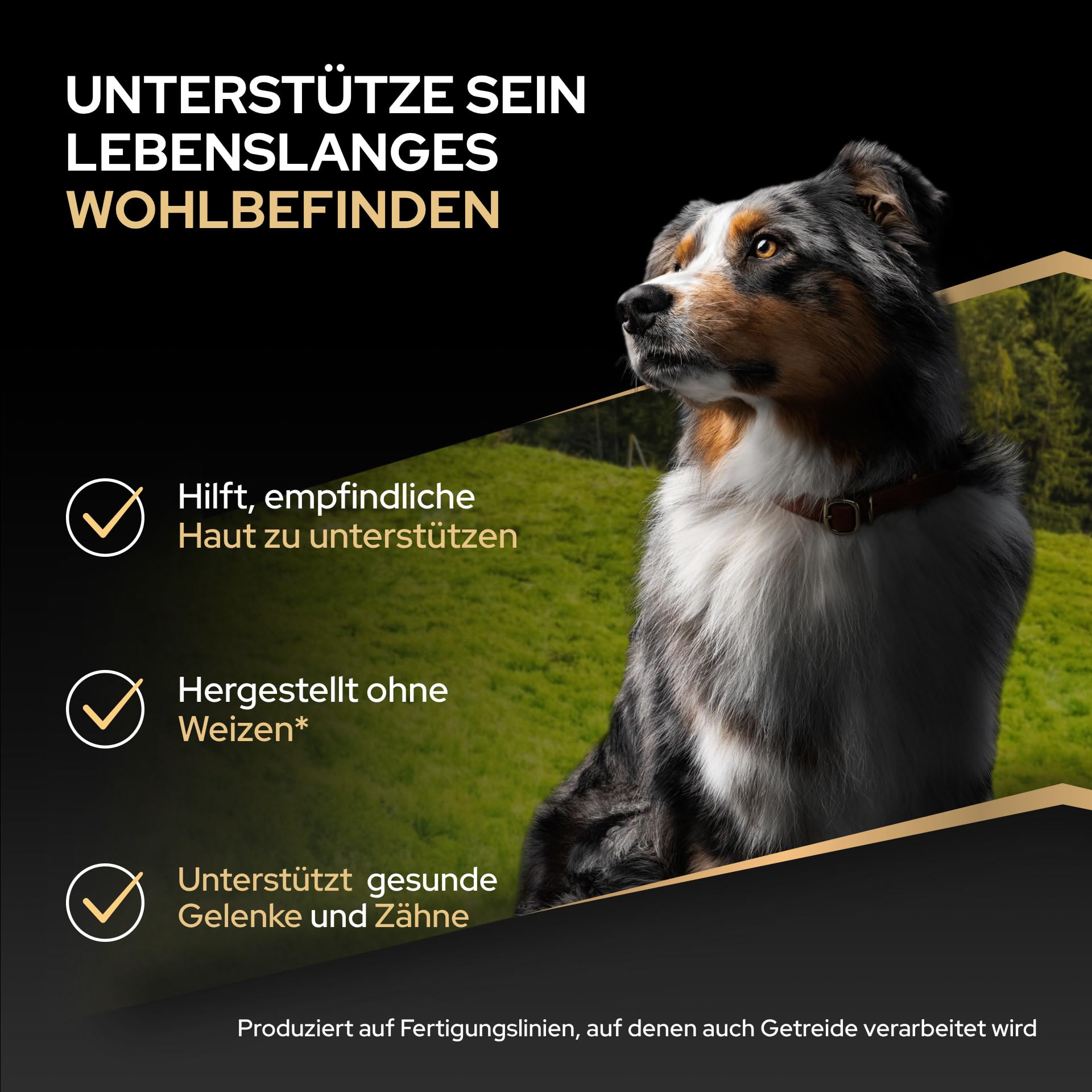 Purina Pro Plan Medium Adult Trockenfutter Lachs 10kg Haut