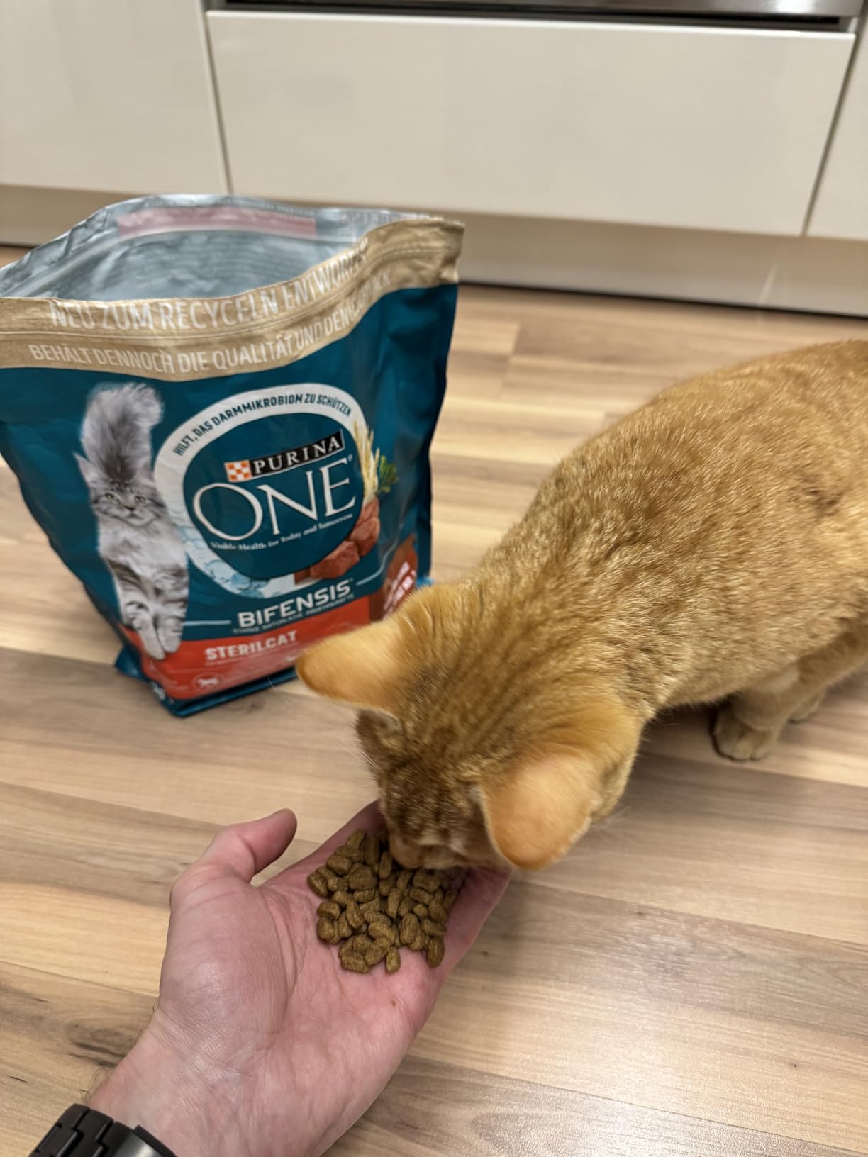 Purina One Bifensis Sterilcat Trockenfutter Rind 6x1,4kg