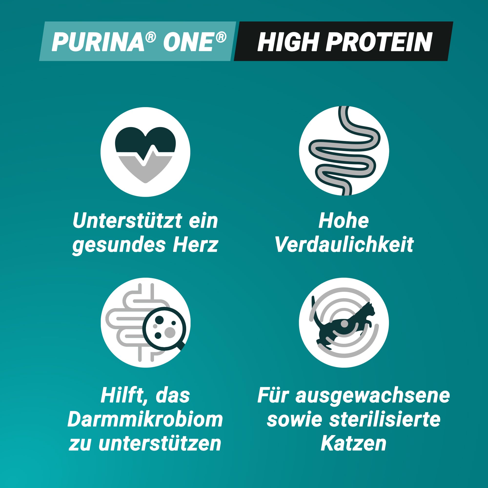 PURINA ONE High Protein Lachs Trockenfutter 6x900 g