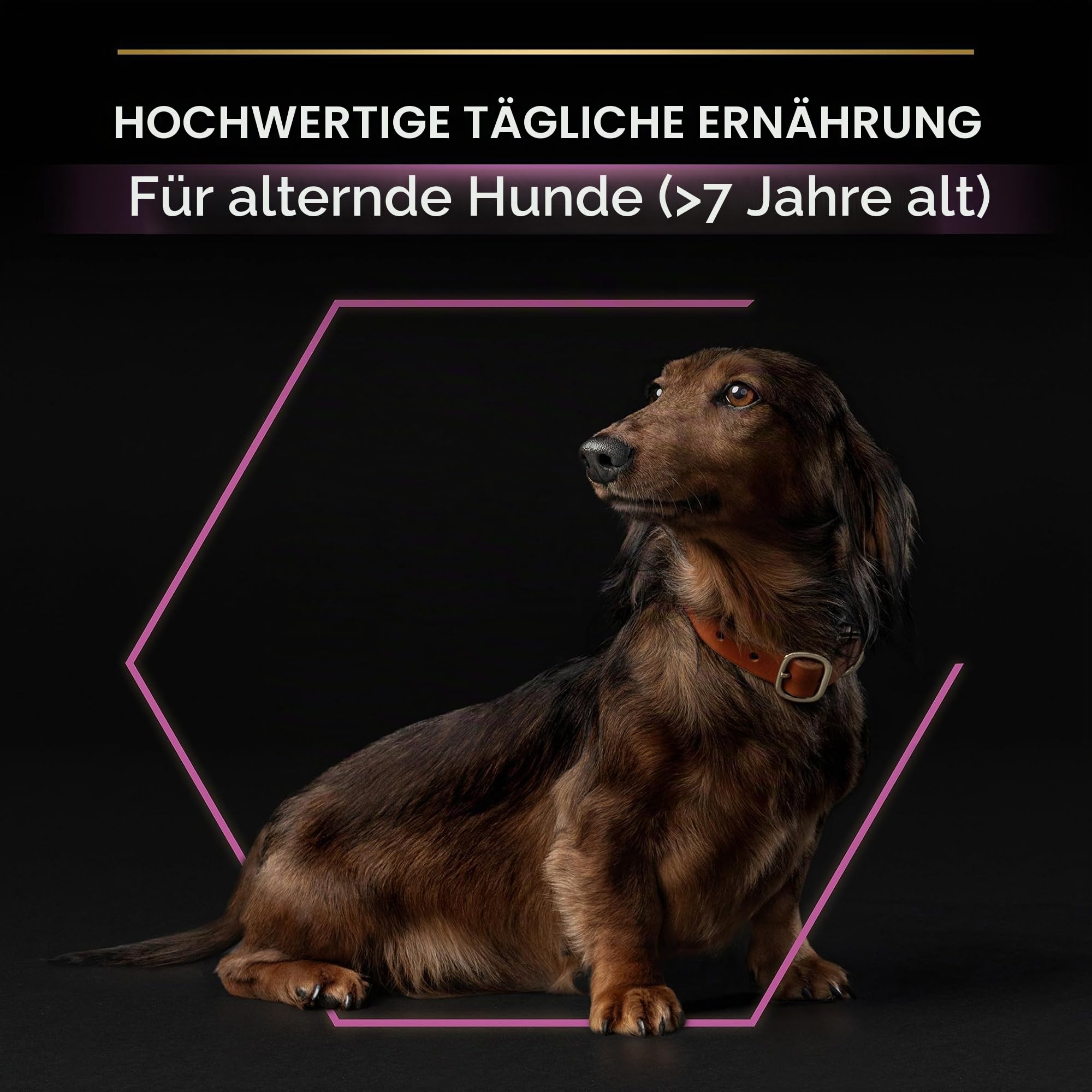 Pro Plan Small Mini Adult 9+ Hundefutter Huhn 3 kg
