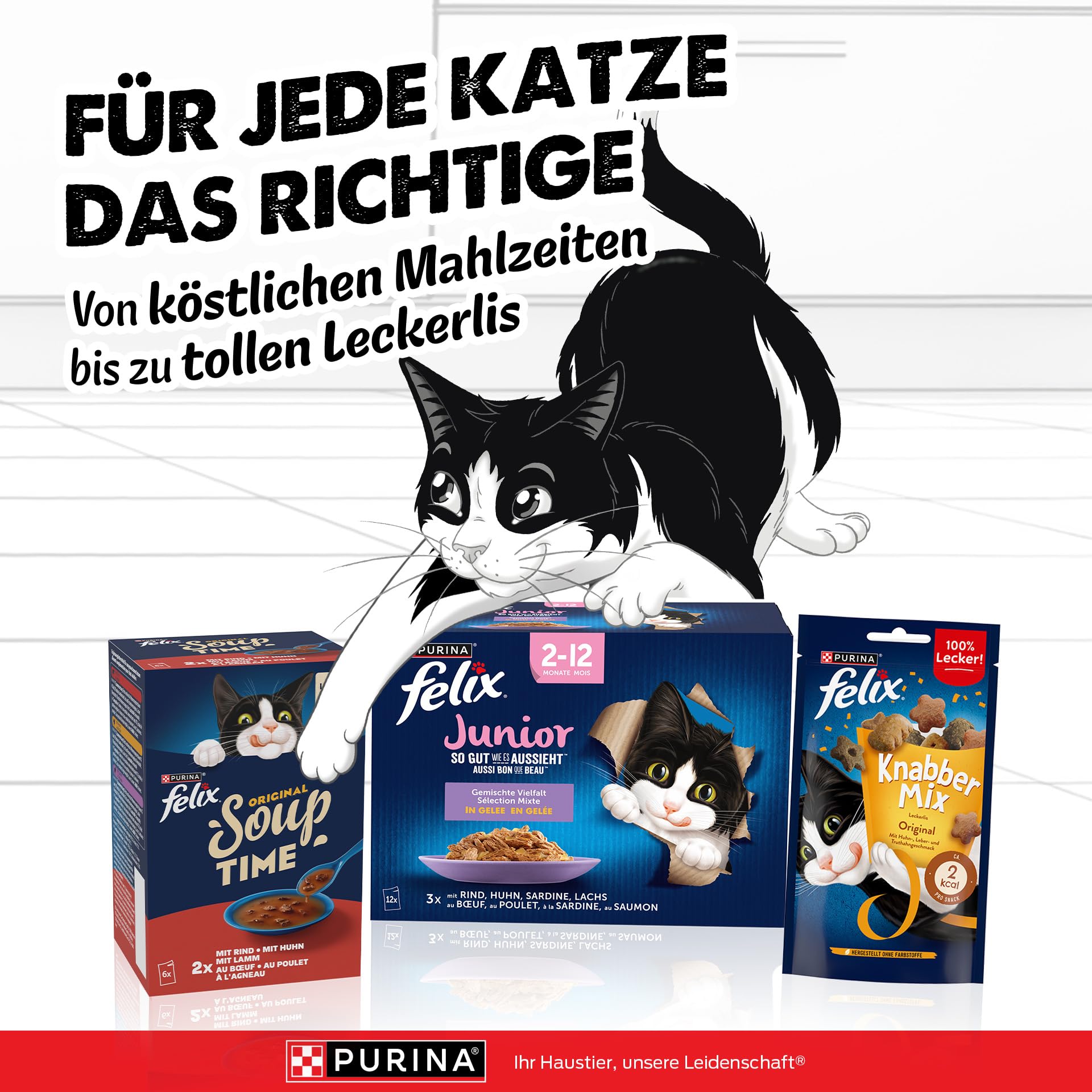 FELIX So gut wie es aussieht Junior Mix Nassfutter 72x85g Gelee