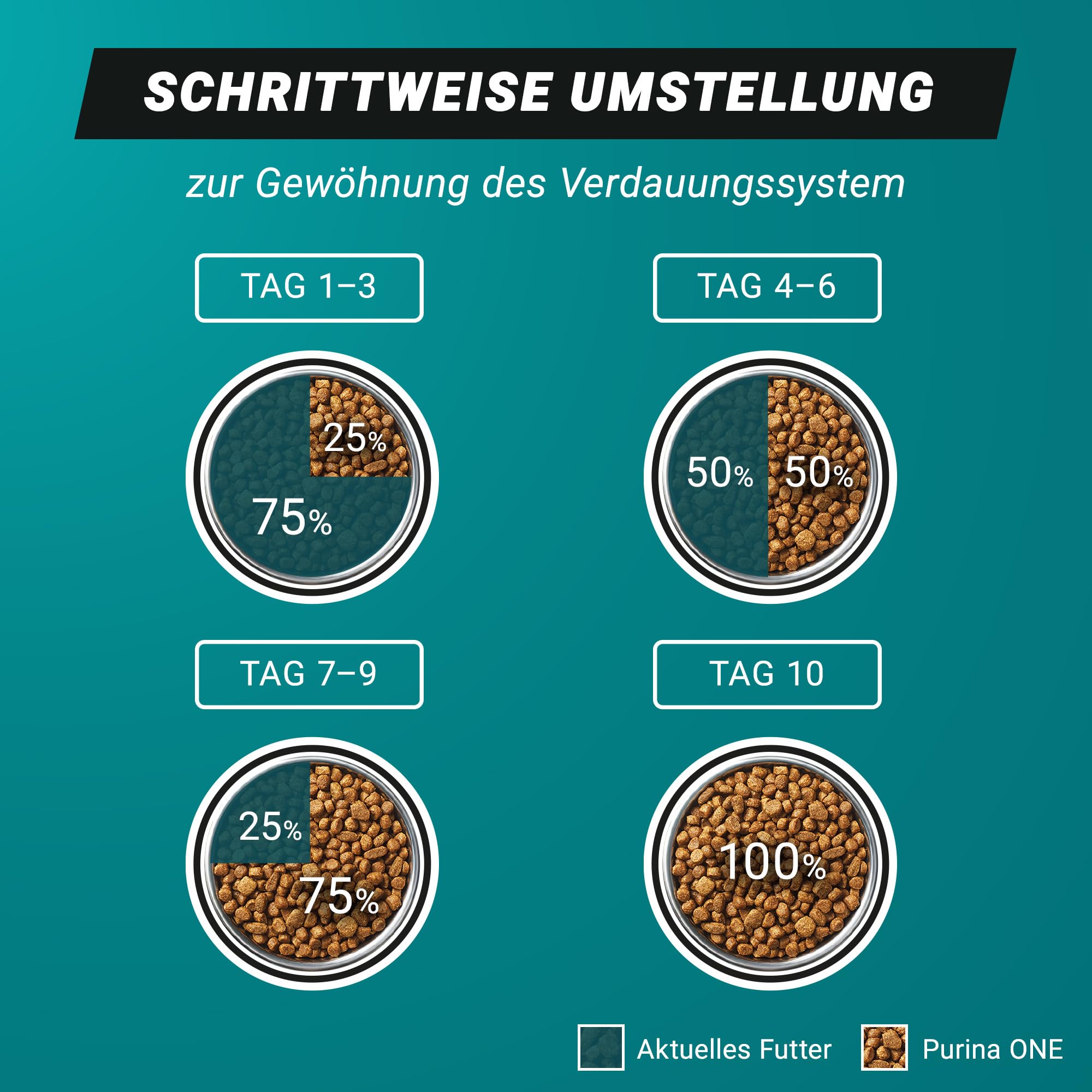 PURINA ONE High Protein Lachs Trockenfutter 6x900 g