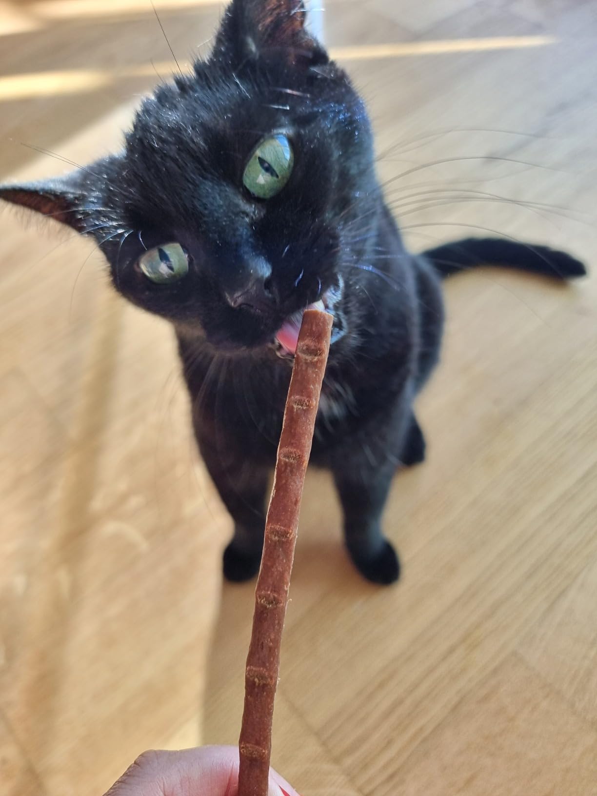 KITTY Cat Sticks Huhn & Leber Leckerlis 24x15 g zuckerfrei