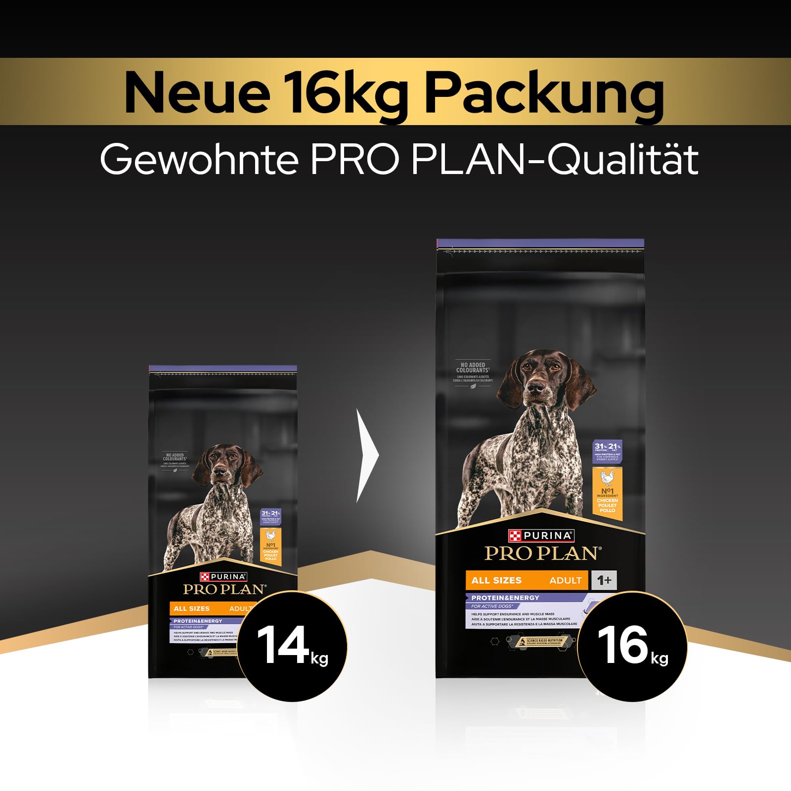Pro Plan Adult Performance Hundefutter Huhn 16kg