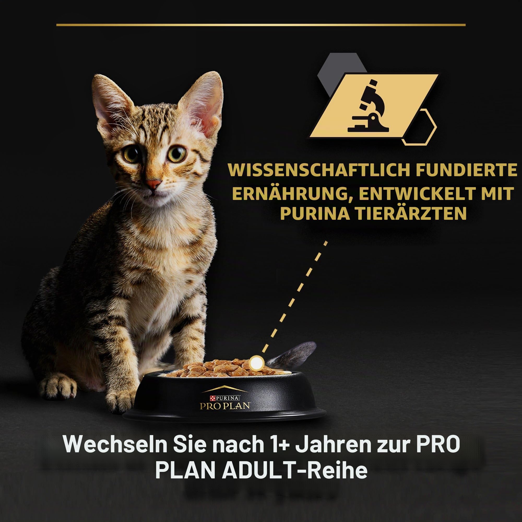 Purina Pro Plan Kitten Healthy Start Nassfutter Truthahn 10x85g