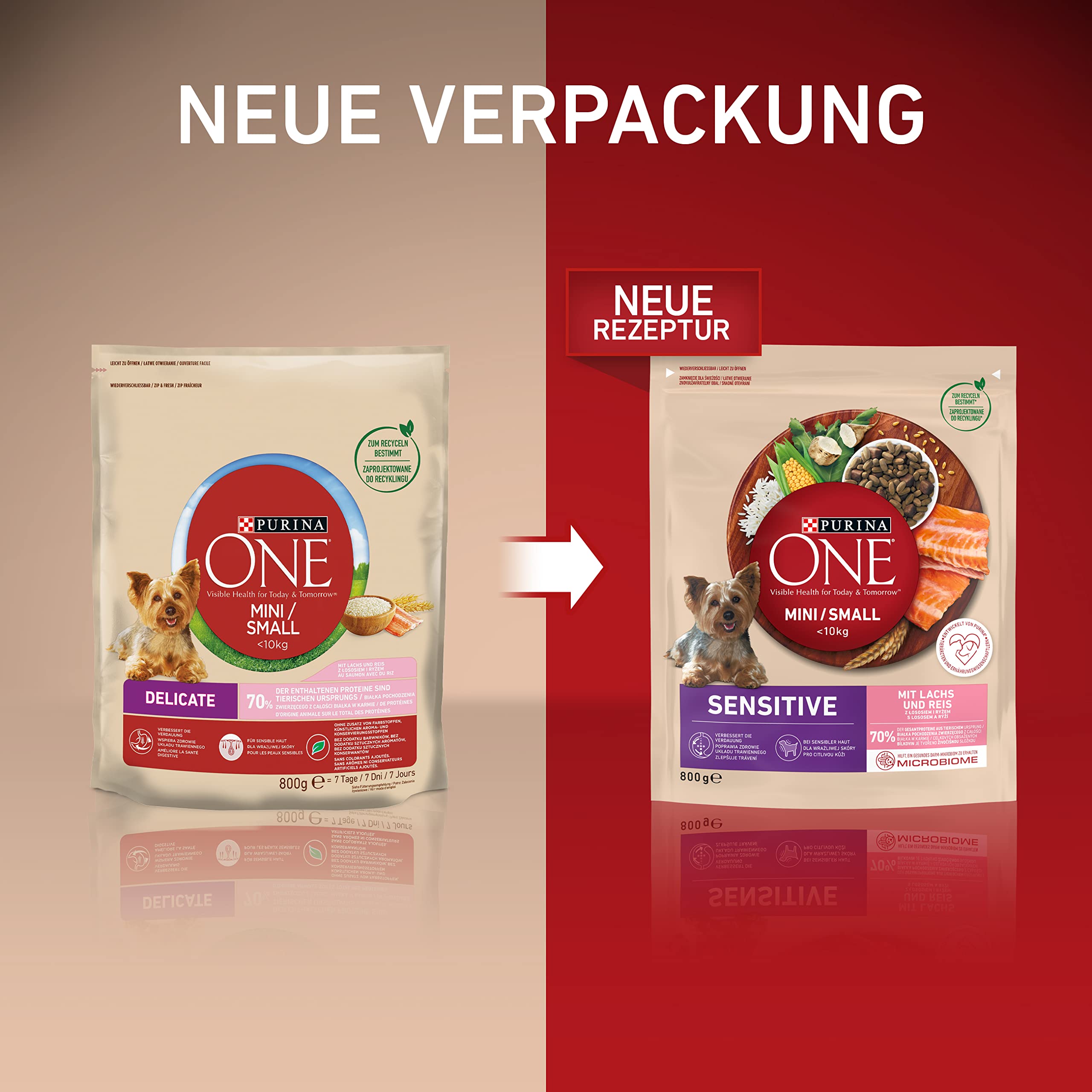 Purina One Mini Small Delicate Trockenfutter Lachs 8x800 g