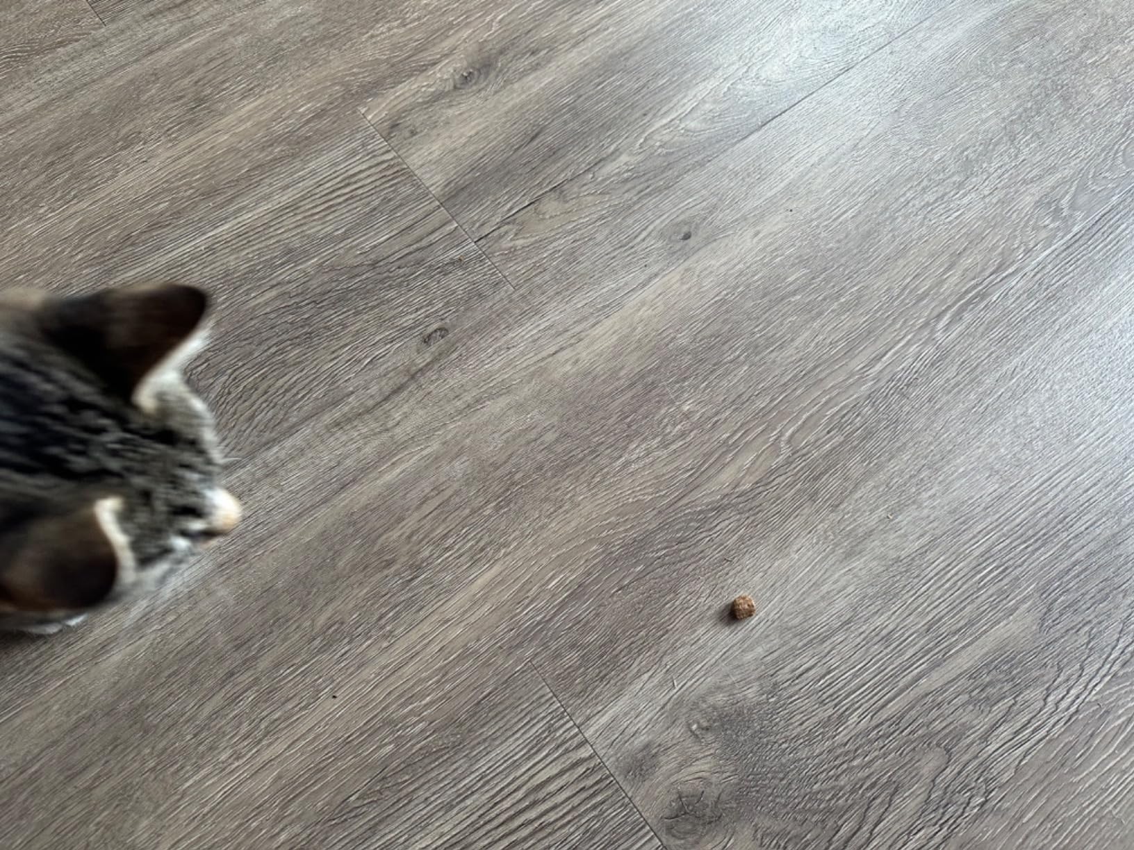 Felix Tasty Nuggets Rind Lamm Leckerli 6x180g für Katzen