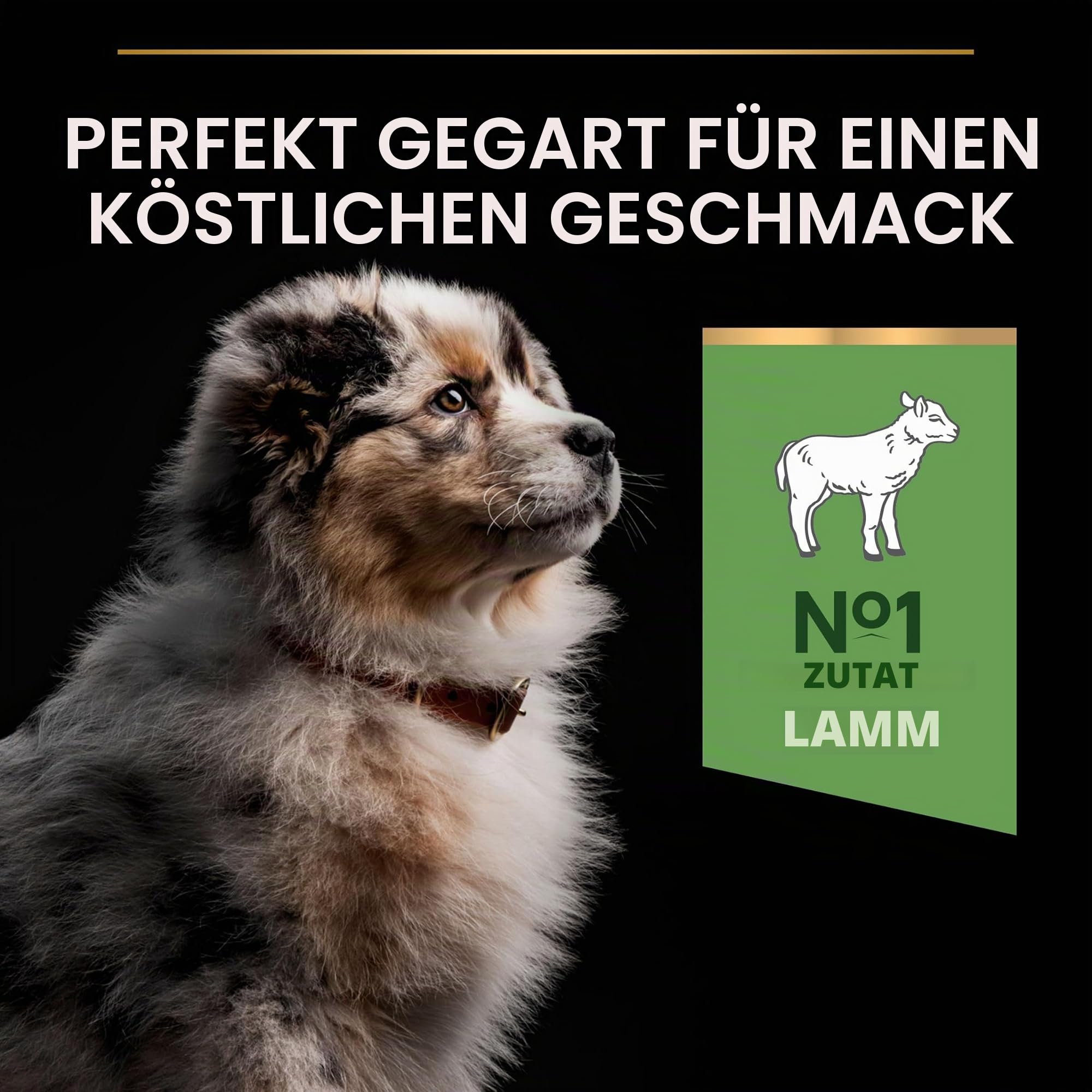 PRO PLAN Medium Puppy Sensitive Lamm Trockenfutter 3 kg Welpen