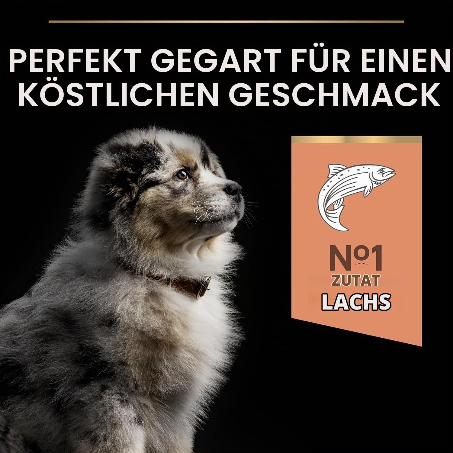 Pro Plan Medium Puppy Sensitive Skin Hundefutter 3kg Lachs