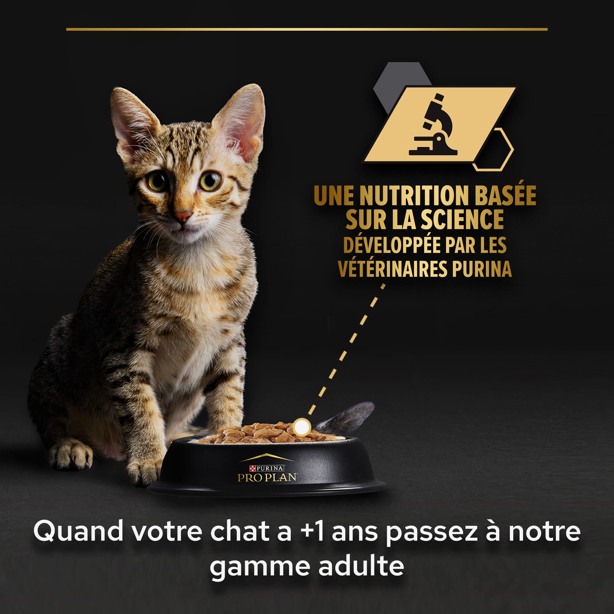 Pro Plan Baby Kitten Nassfutter Huhn 24x85 g