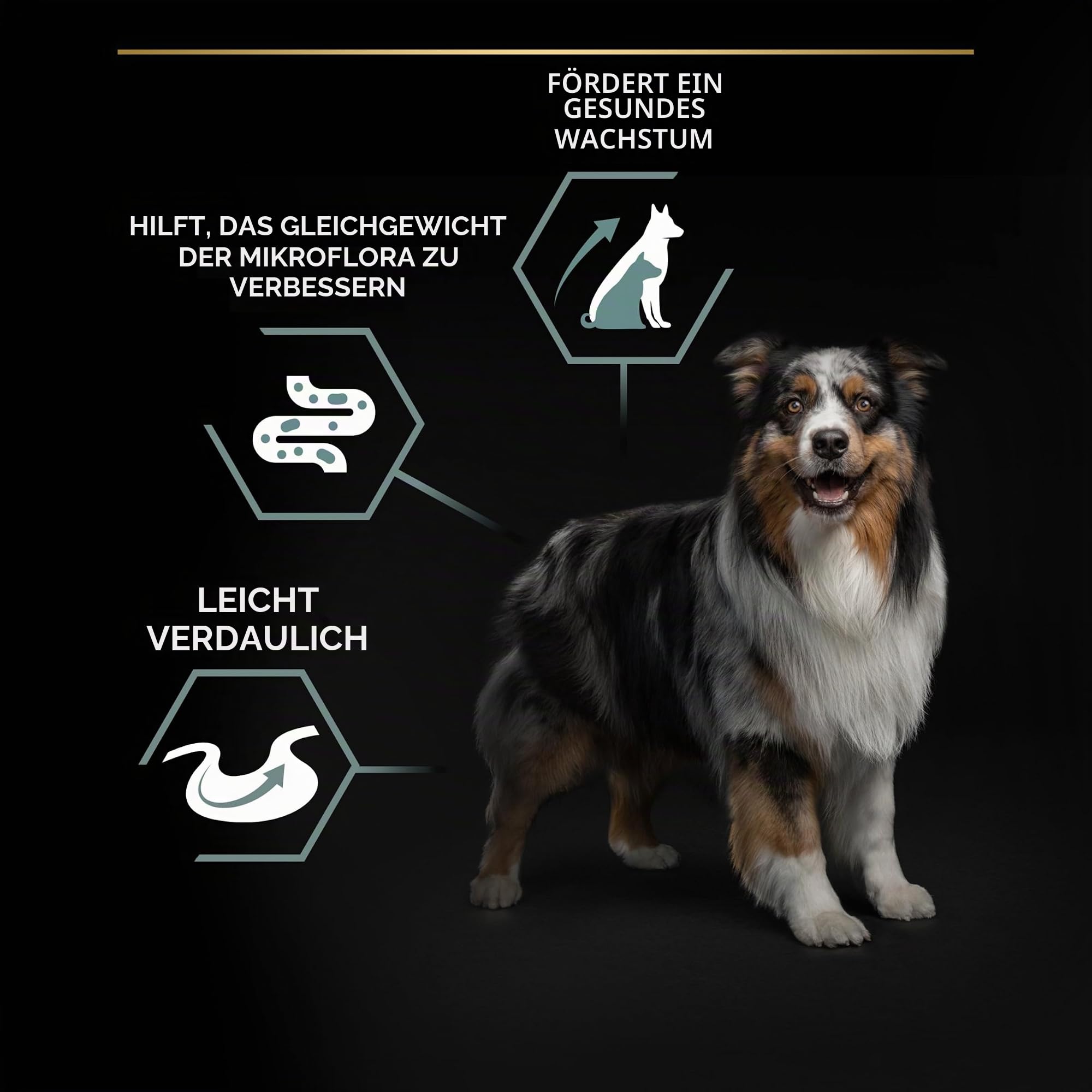 PRO PLAN Grain Free Medium Large Adult Trockenfutter Truthahn 12kg