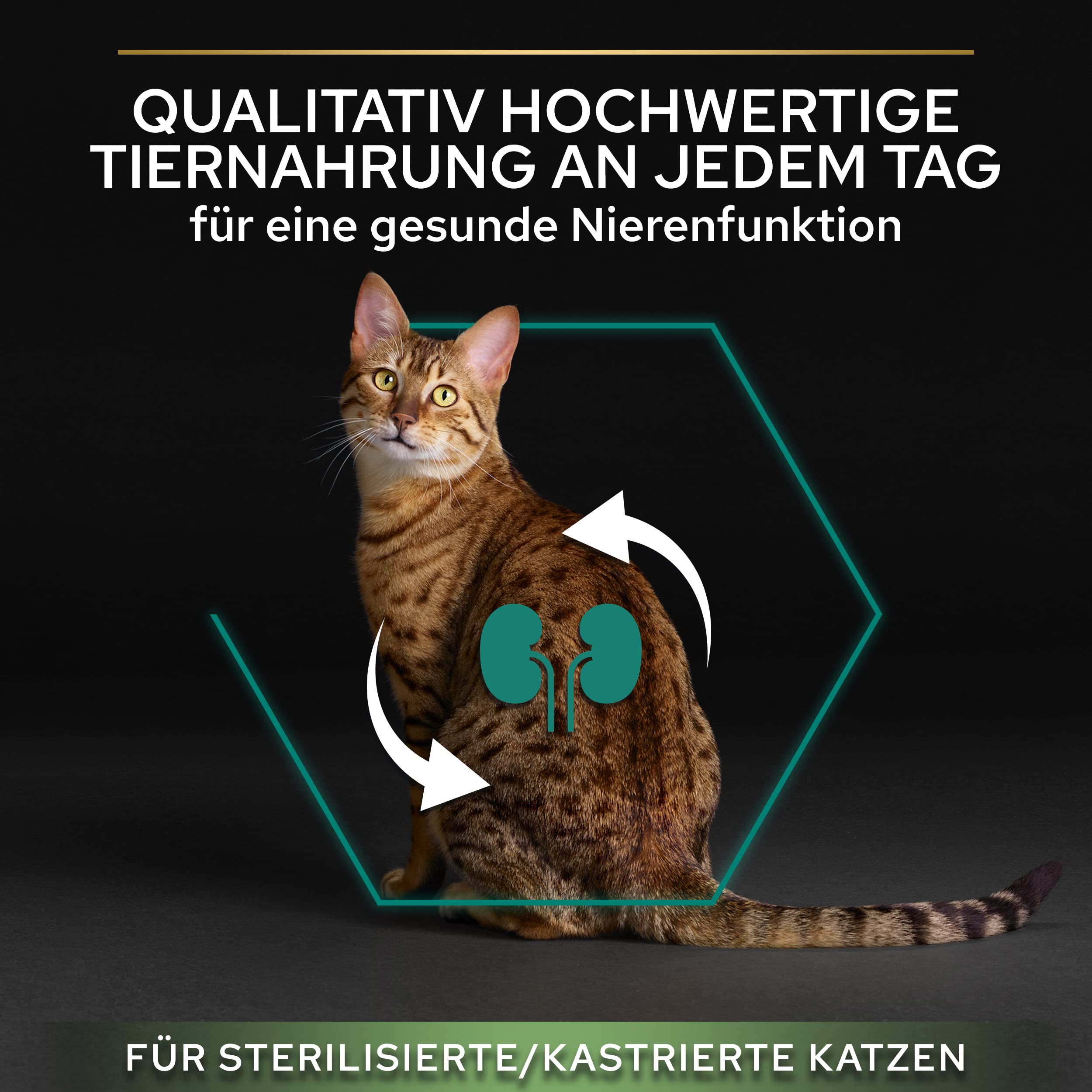 Pro Plan Sterilised Adult Lachs Trockenfutter 6x1,5kg OPTIRENAL