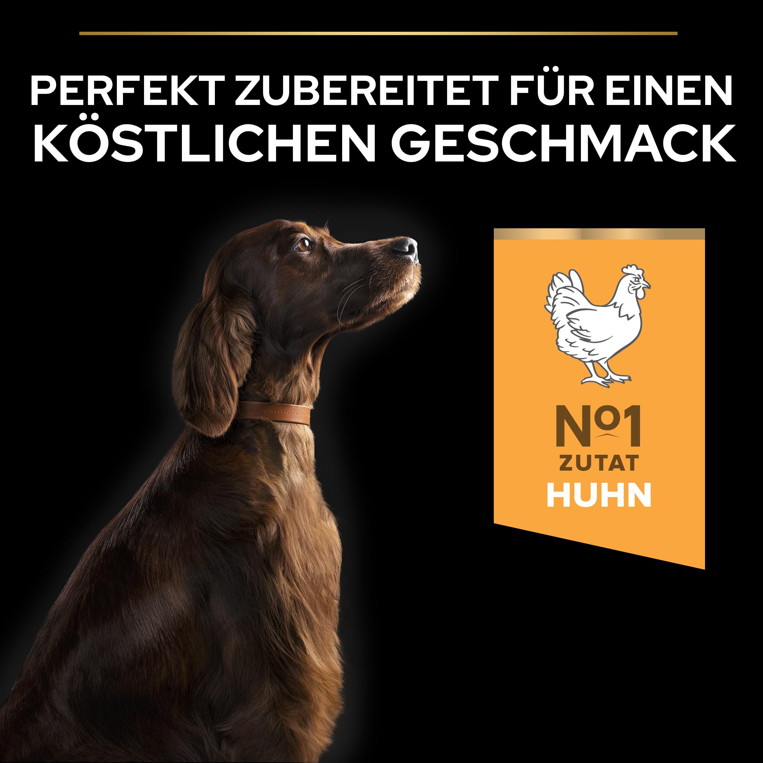 Pro Plan Large Athletic Adult Hundefutter Huhn 16 kg