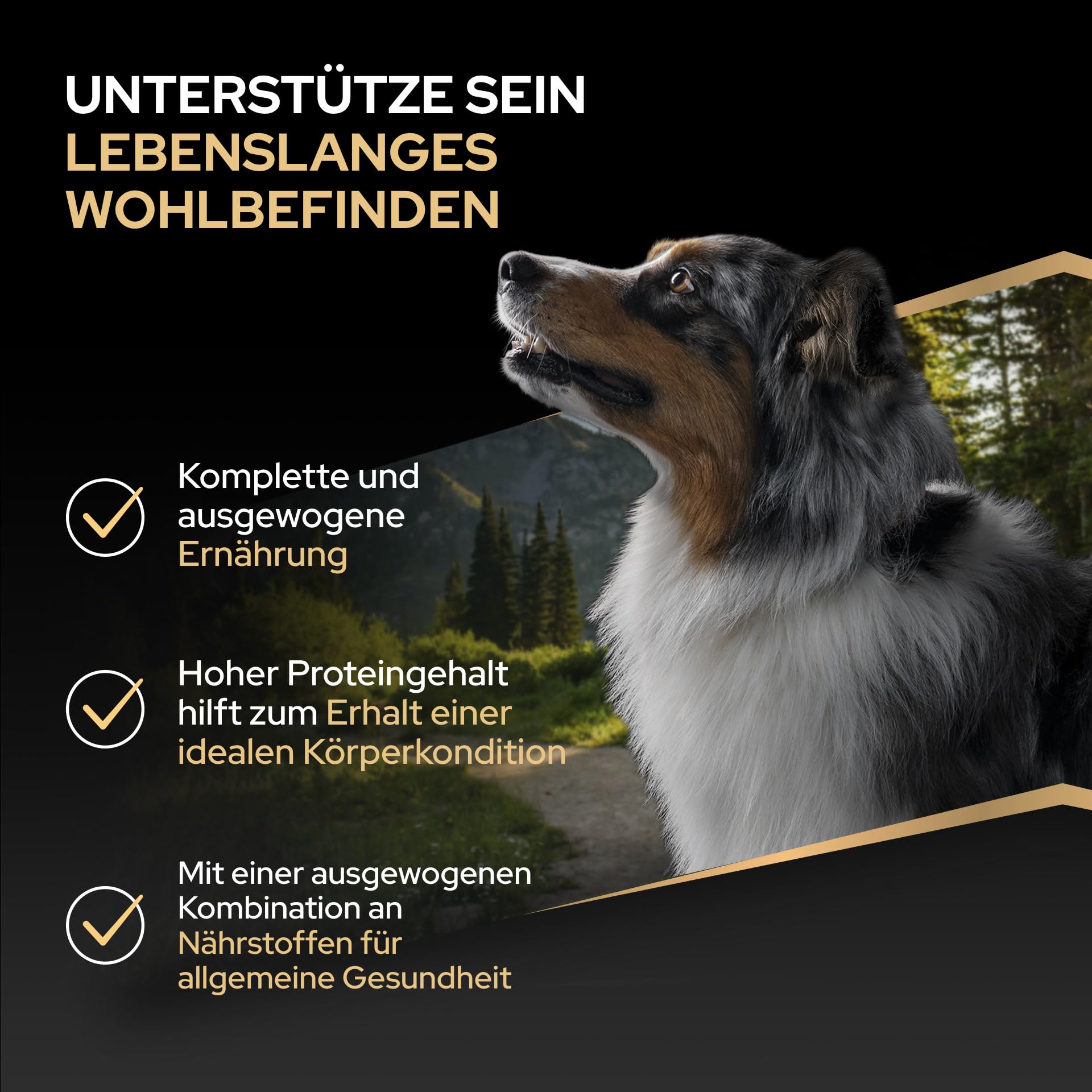 Pro Plan Medium Adult Trockenfutter Huhn 16 kg