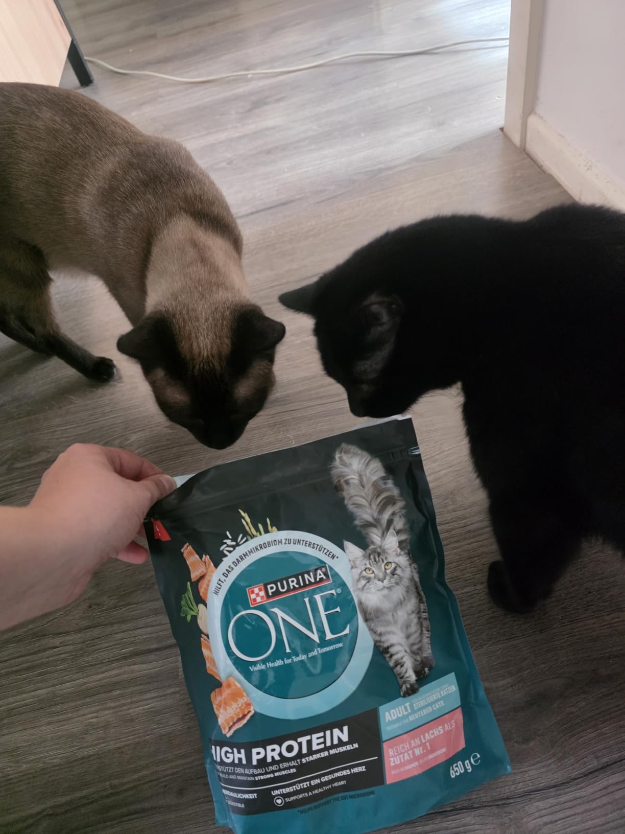 PURINA ONE High Protein Lachs Trockenfutter 6x900 g