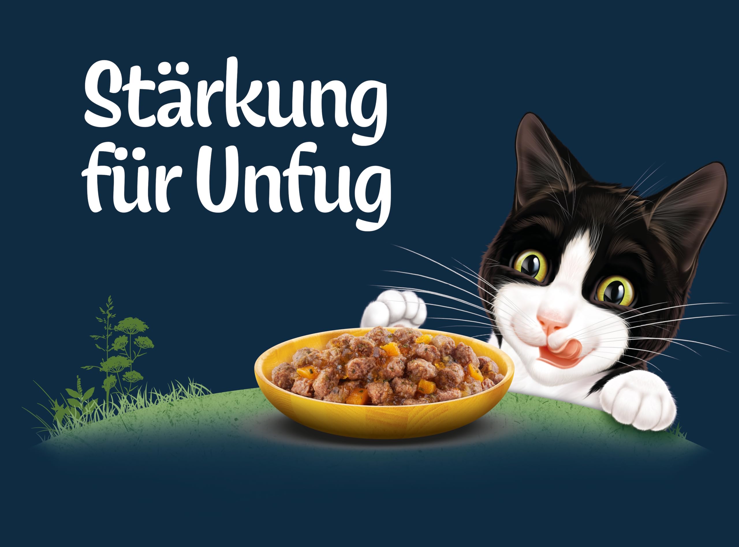 Felix So gut wie es aussieht Nassfutter von der Wiese 6er Pack getreidefrei
