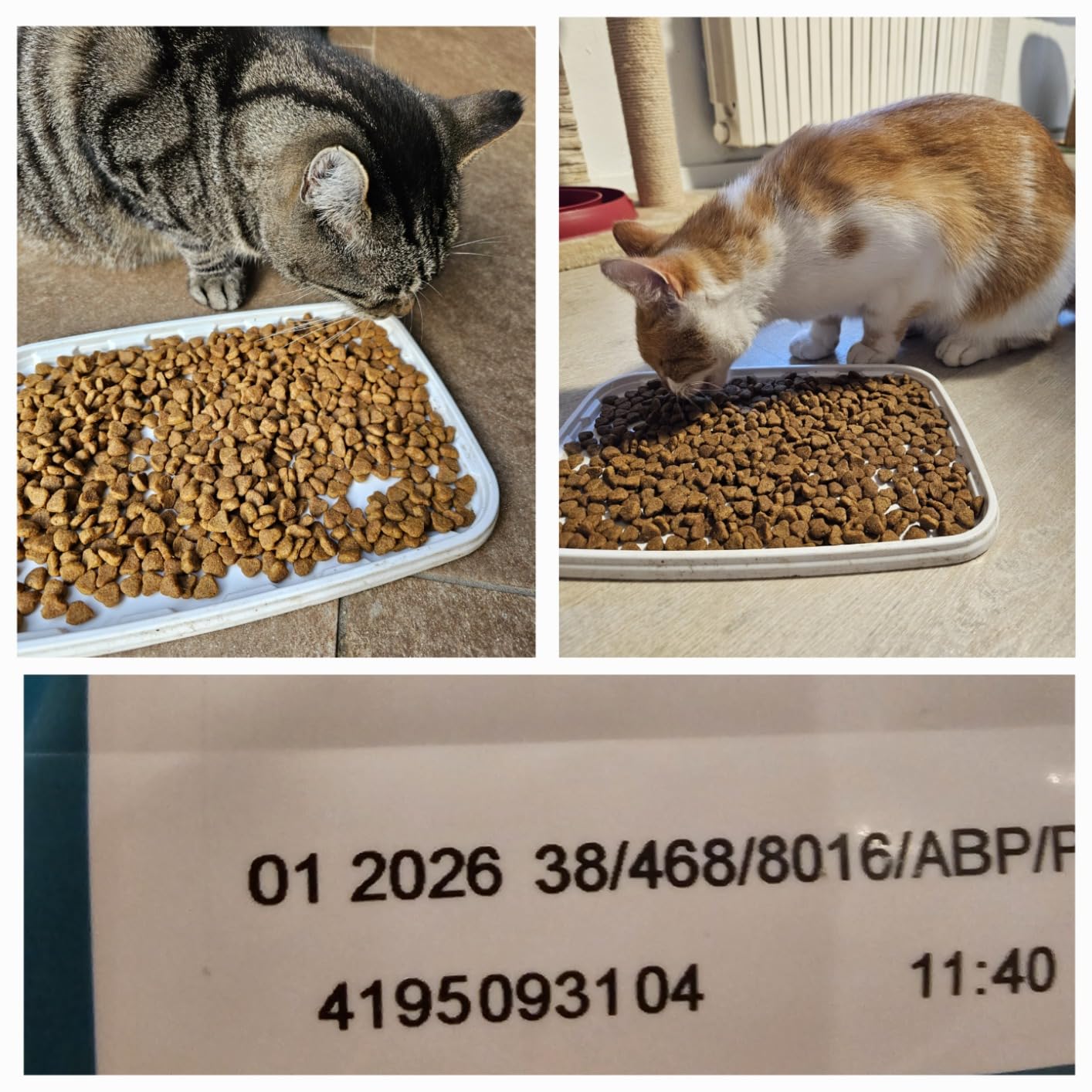 PURINA ONE Bifensis Urinary Care Trockenfutter Huhn 6x1,4 kg