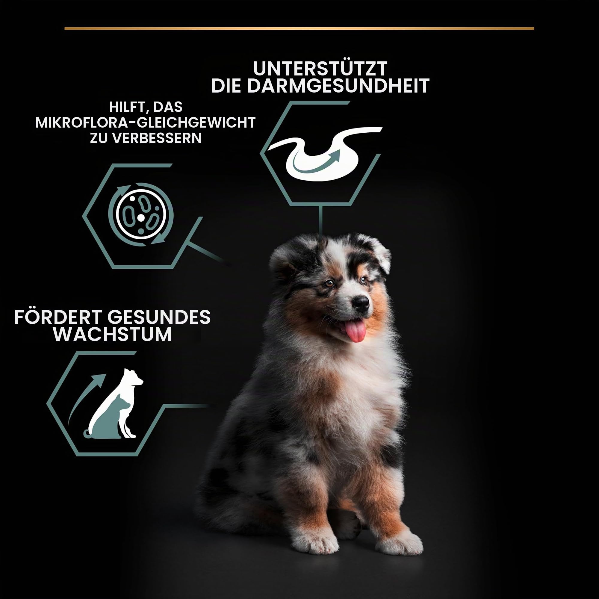 PRO PLAN Medium Puppy Sensitive Lamm Trockenfutter 3 kg Welpen