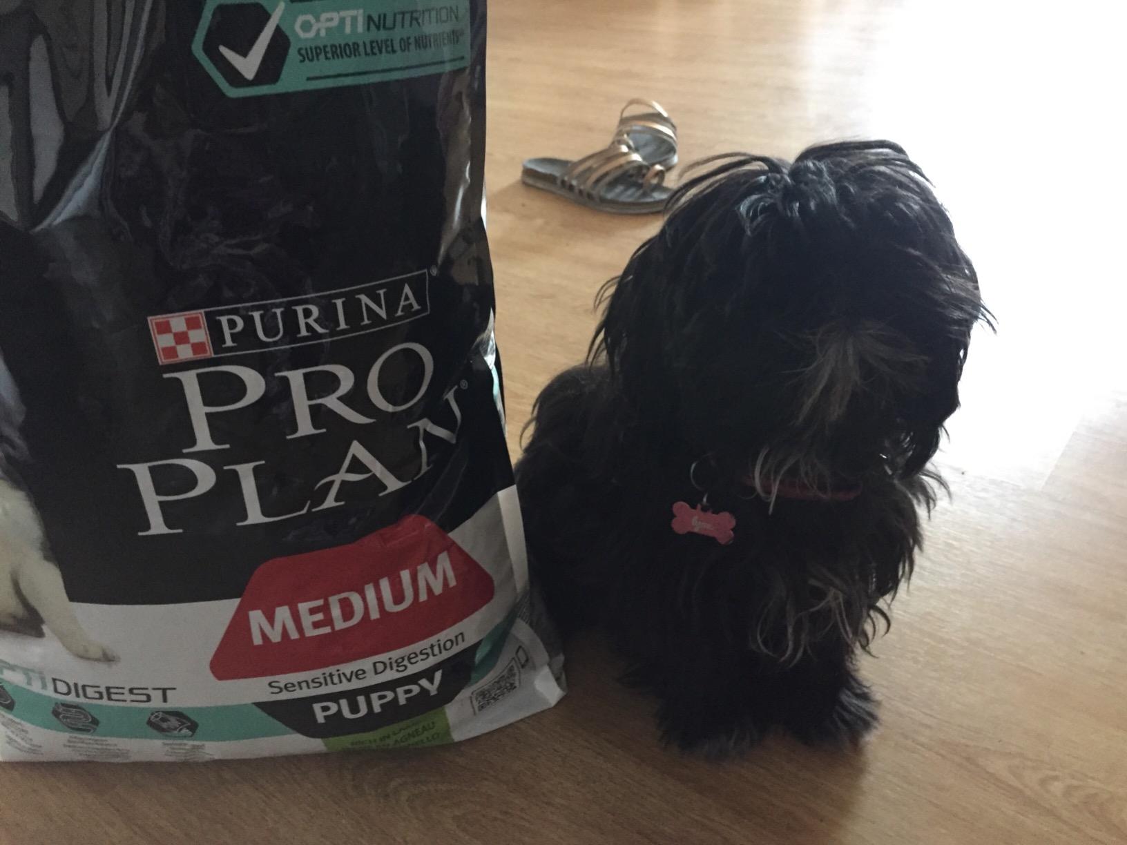 PRO PLAN Medium Puppy Sensitive Lamm Trockenfutter 3 kg Welpen