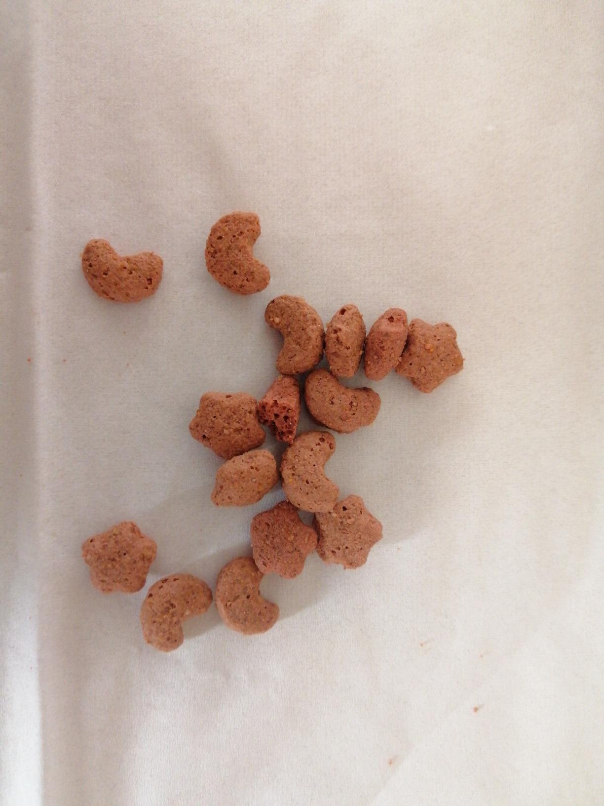 FELIX Crispies Lachs-Forelle Katzensnack 8x45g knusprig