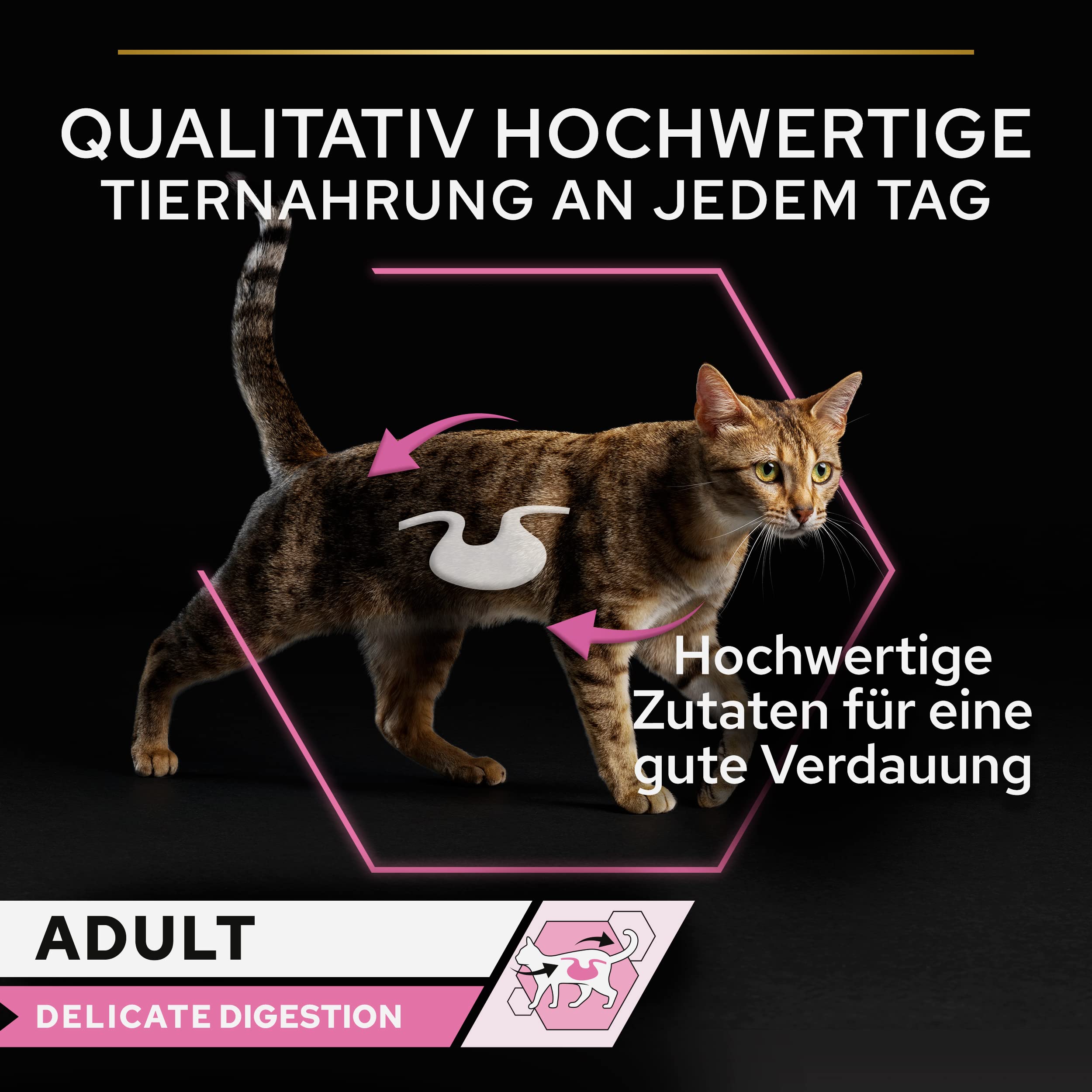 Pro Plan Adult Delicate Digestion Nassfutter Hochseefisch 40x85 g