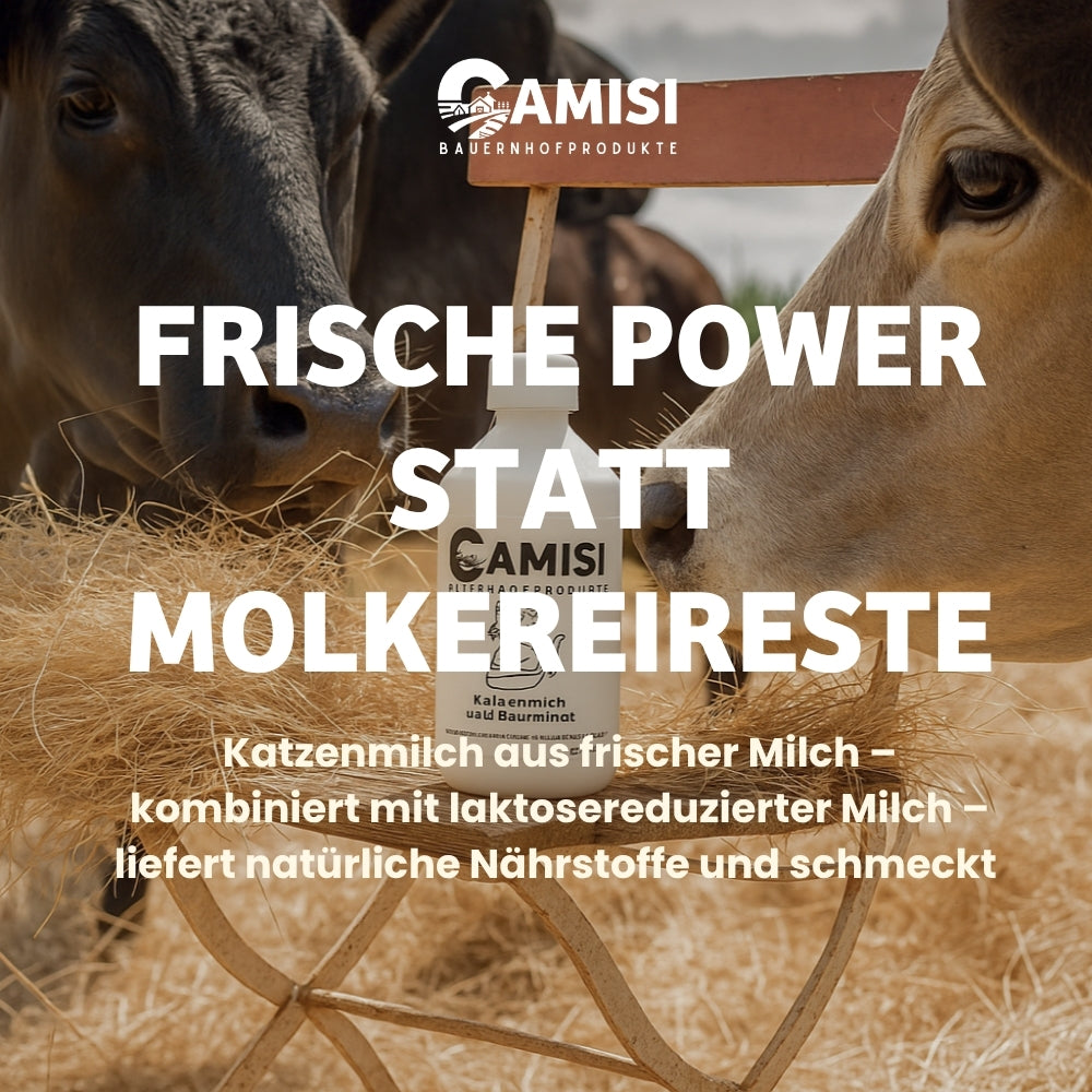 CAMISI Katzenmilch laktosereduziert Katzenmilch 4x250ml mit Taurin