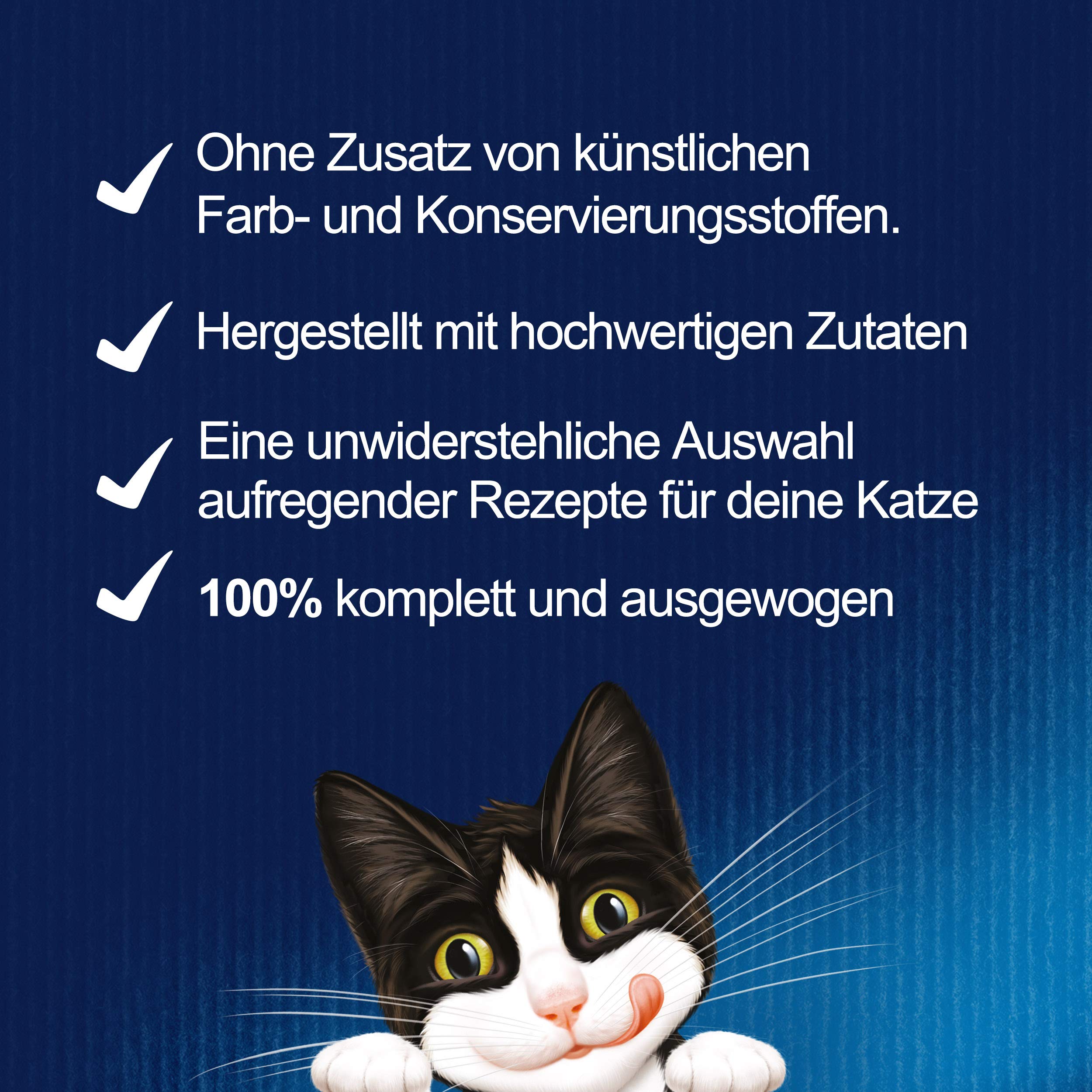Felix So gut wie es aussieht Nassfutter Huhn Rind 48x85g