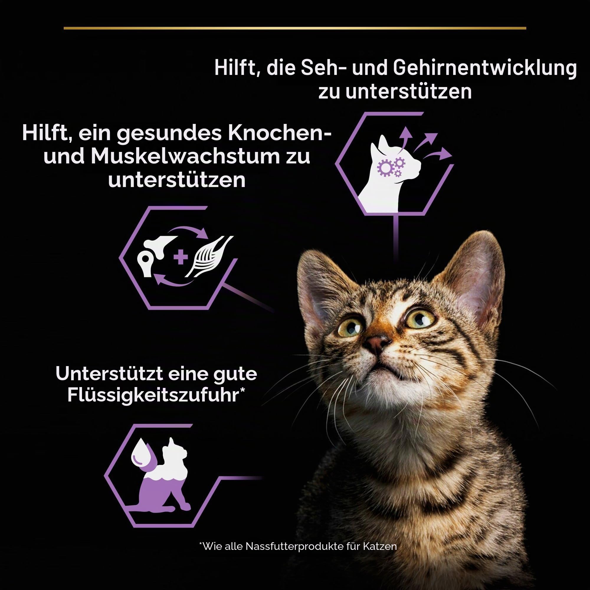 Purina Pro Plan Kitten Healthy Start Nassfutter Truthahn 10x85g