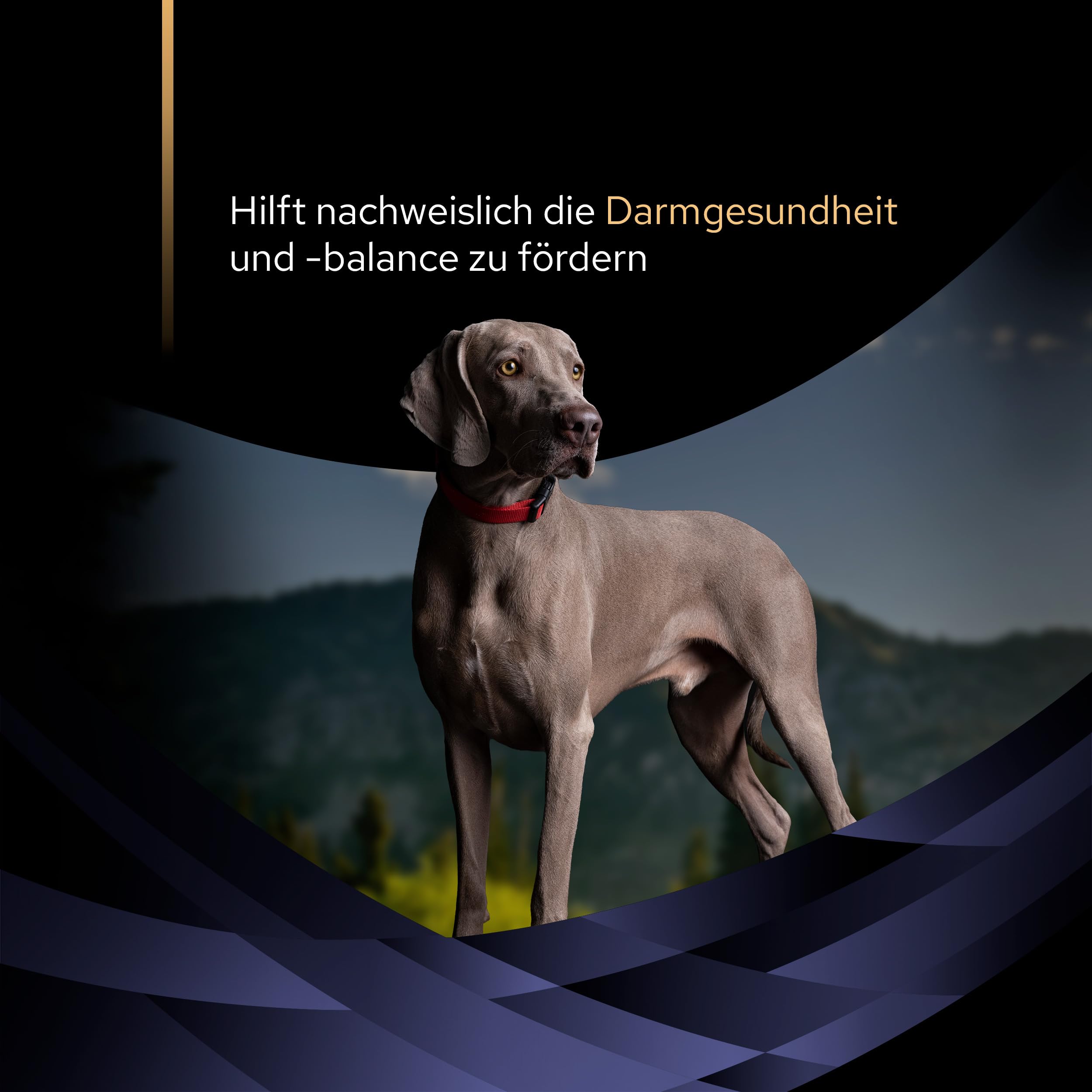 Pro Plan Forti Flora Ergänzungsfutter Hund 30x1 g