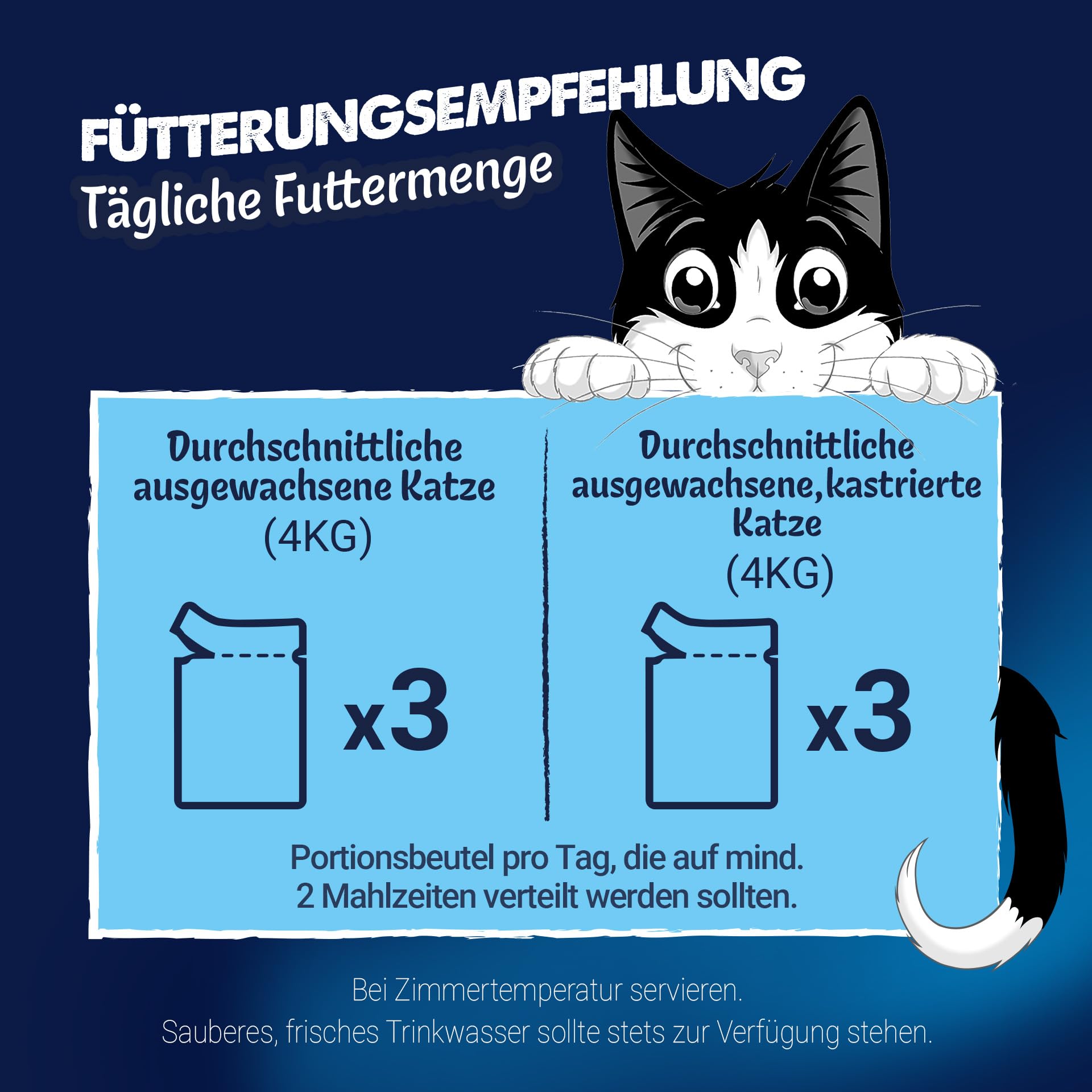 Felix Doppelt Lecker Nassfutter Fisch Aus dem Wasser 24x85g