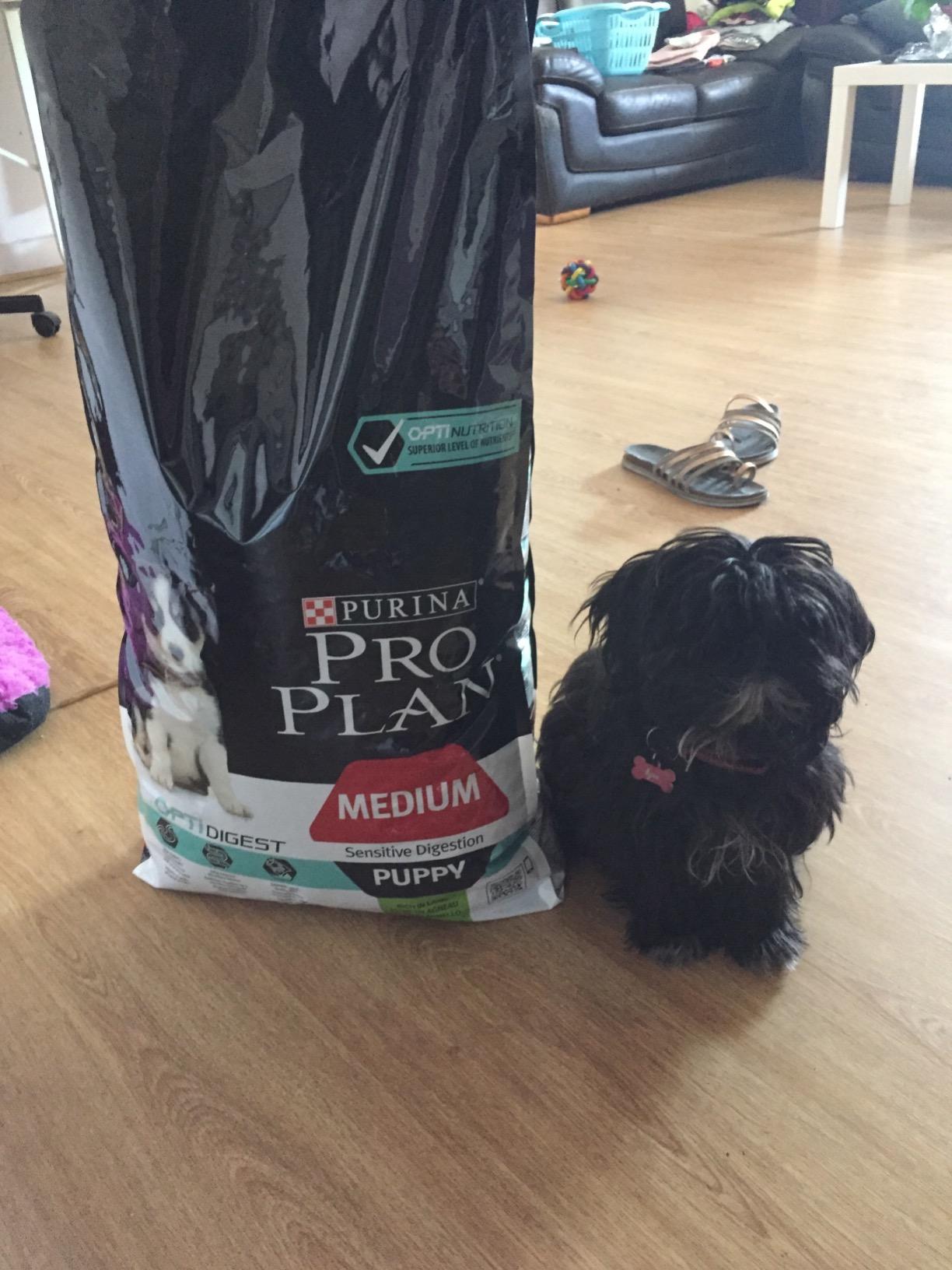 PRO PLAN Medium Puppy Sensitive Lamm Trockenfutter 3 kg Welpen