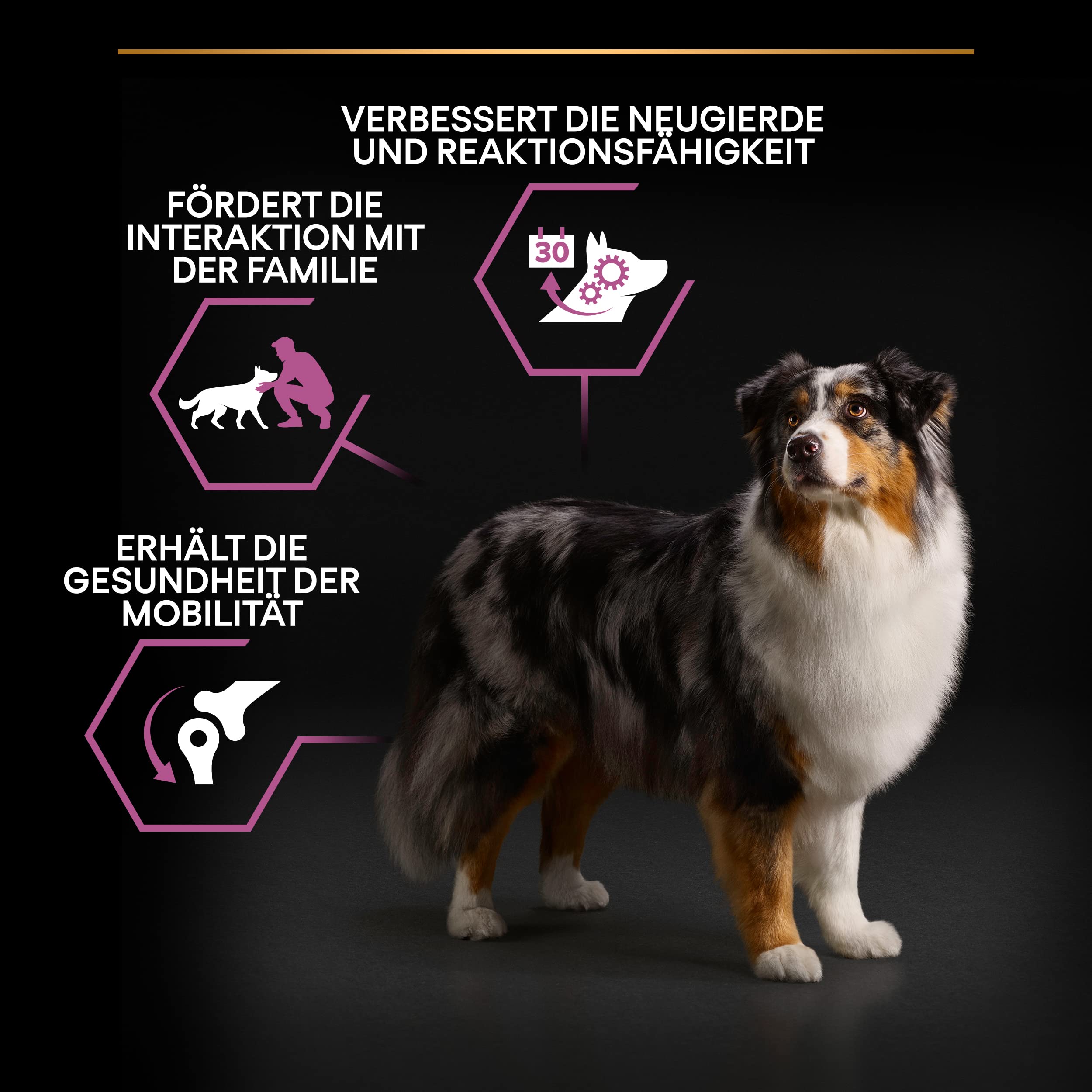 PRO PLAN Medium Large Adult 7+ Hundefutter Huhn 12kg trocken