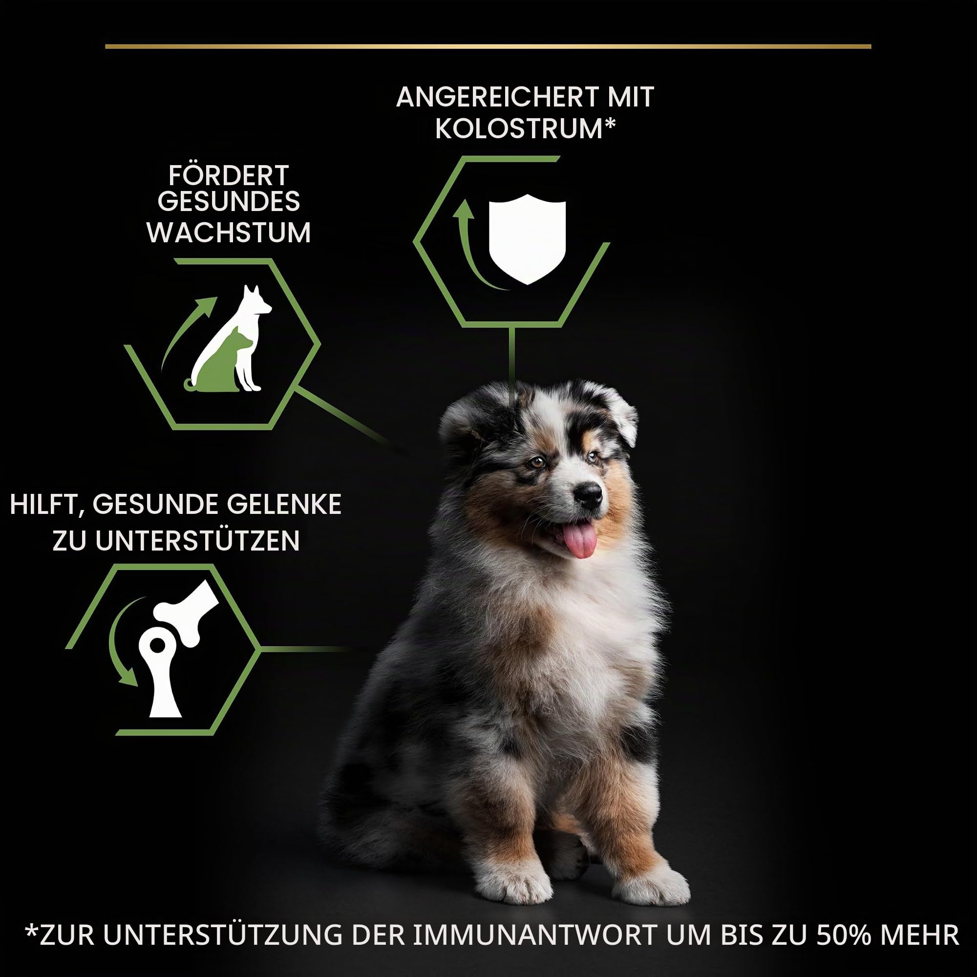 Purina Pro Plan Medium Puppy Trockenfutter Huhn 3kg Gelenke