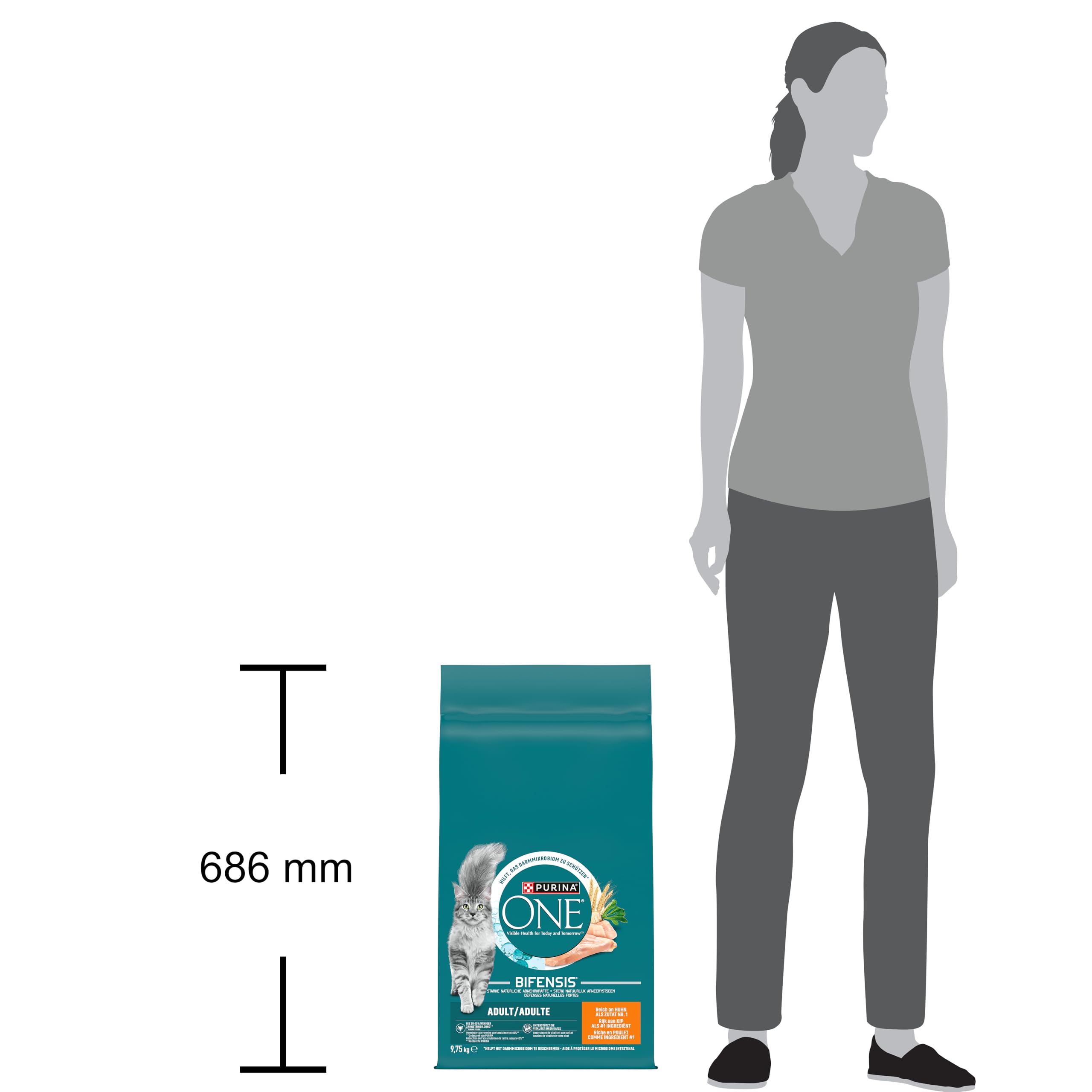 Purina One Bifensis Adult Trockenfutter Huhn 9,75kg