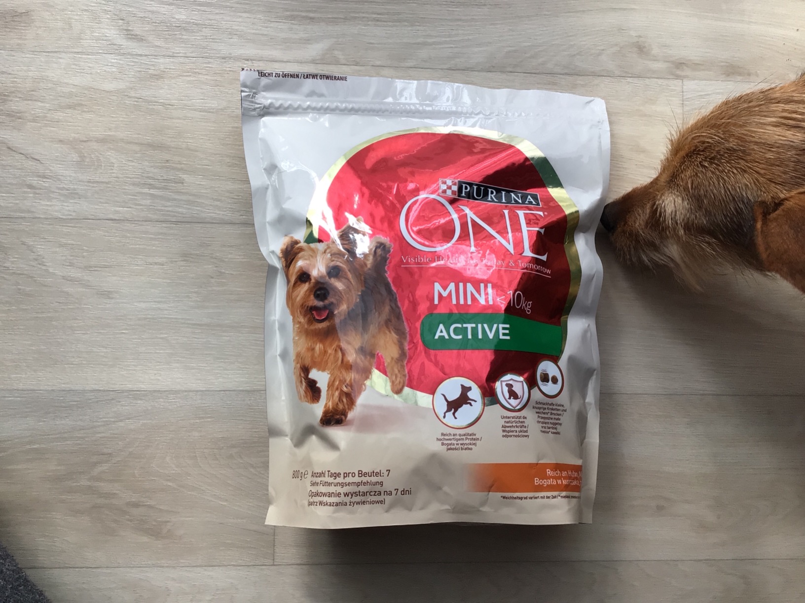 PURINA ONE Mini Small Active Huhn Hundetrockenfutter 2kg