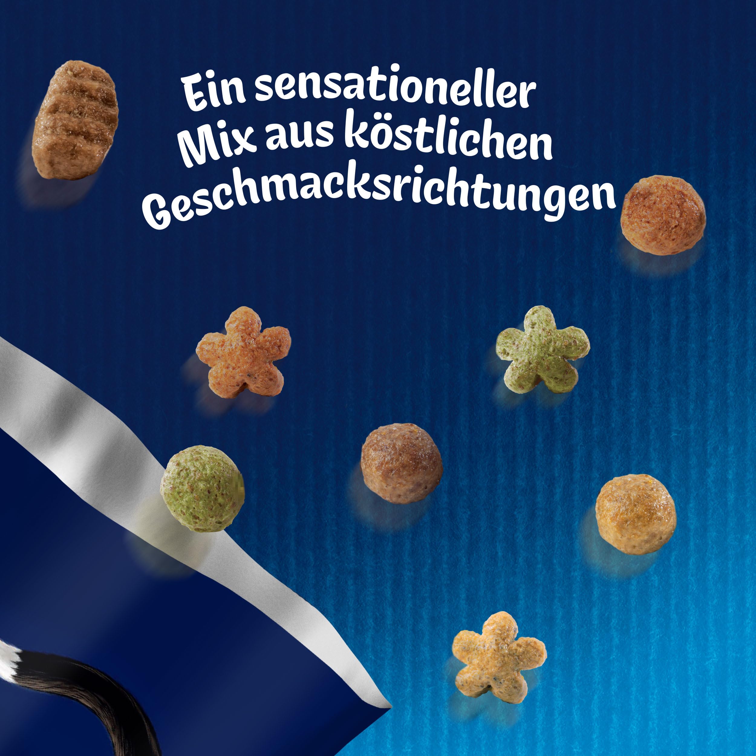 Felix Seaside Sensations Trockenfutter Lachs 6x2 kg