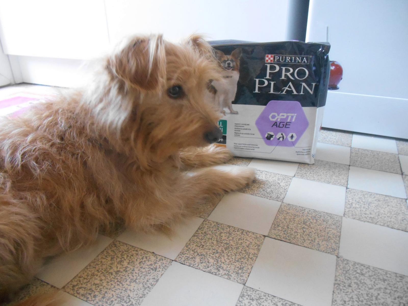 Pro Plan Small Mini Adult 9+ Hundefutter Huhn 3 kg