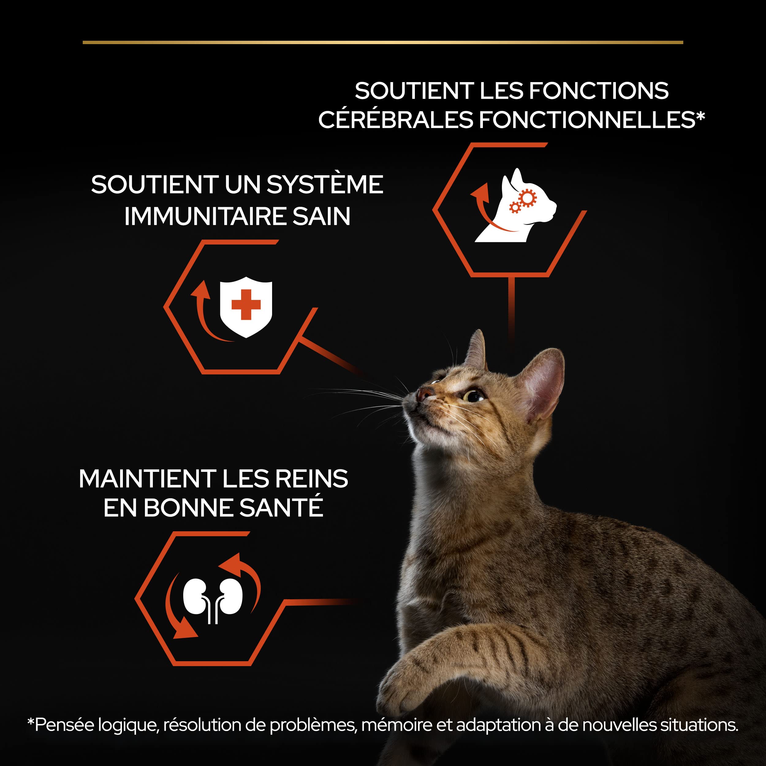 Pro Plan Vitalfunktionen Trockenfutter Lachs 1,5 kg Katze