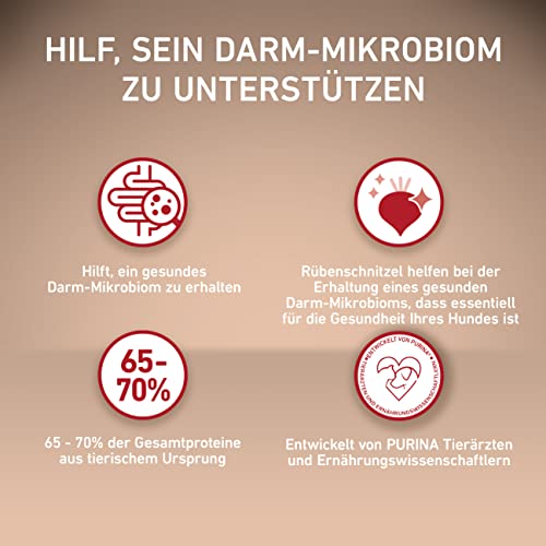 PURINA ONE Mini Small Active Huhn Hundetrockenfutter 2kg