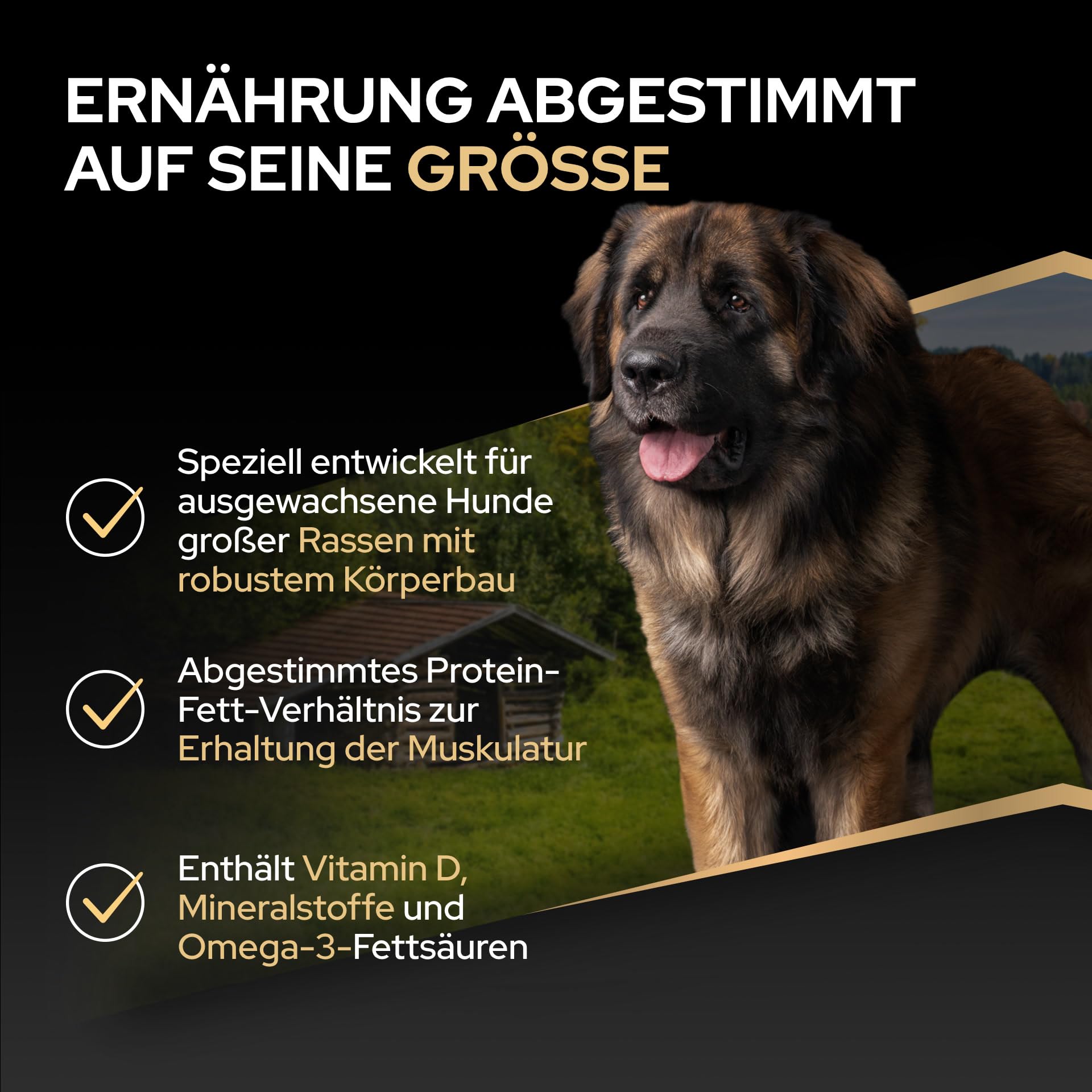 PRO PLAN Large Robust Adult Trockenfutter Huhn 10kg große Hunde