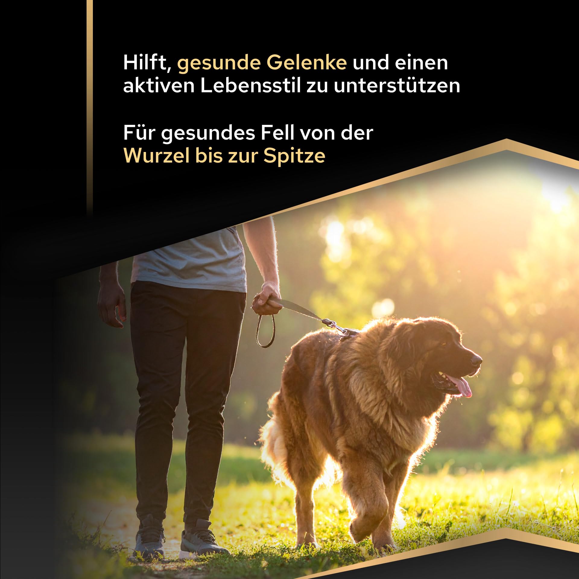 PRO PLAN Large Robust Adult Trockenfutter Huhn 10kg große Hunde
