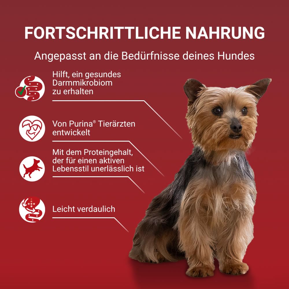 Purina One Mini Small Active Nassfutter 60x85 g
